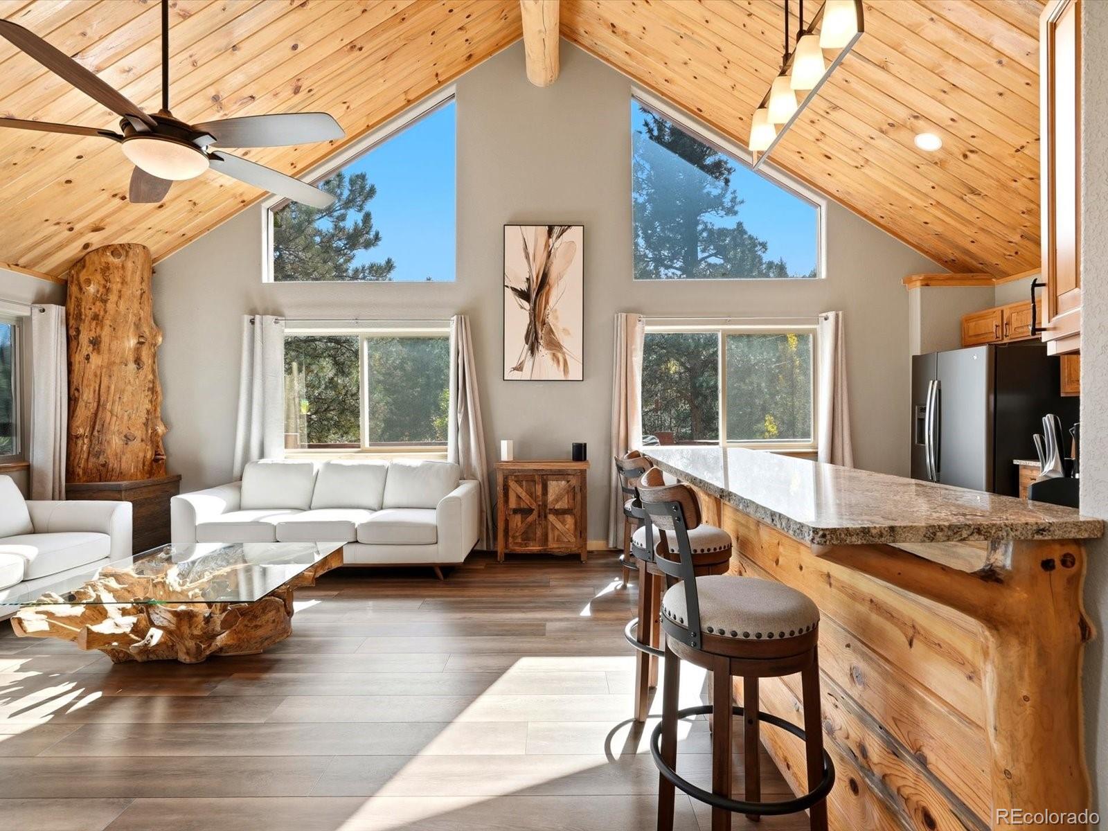 MLS Image #10 for 1592 s pine drive,bailey, Colorado