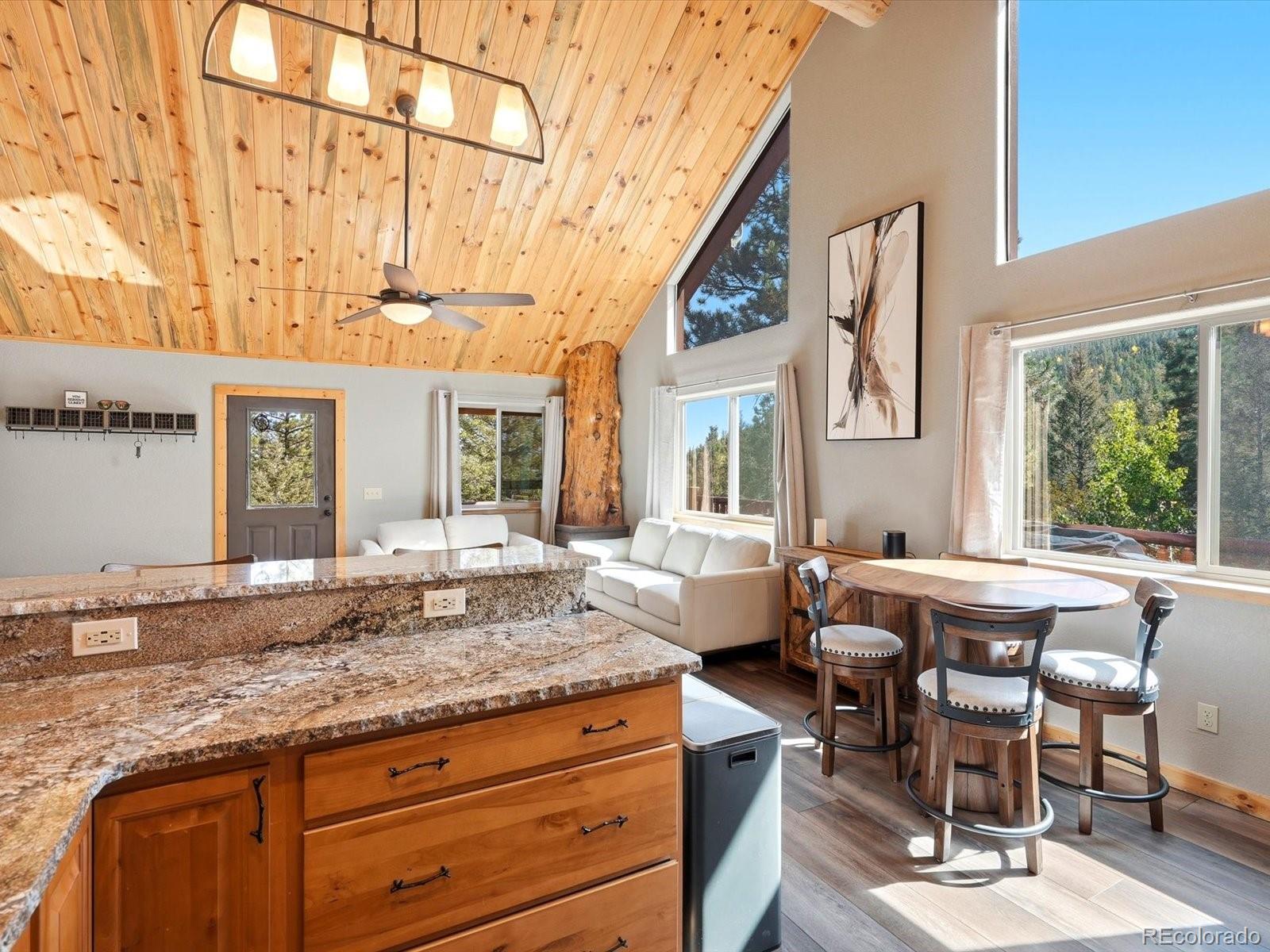 MLS Image #14 for 1592 s pine drive,bailey, Colorado