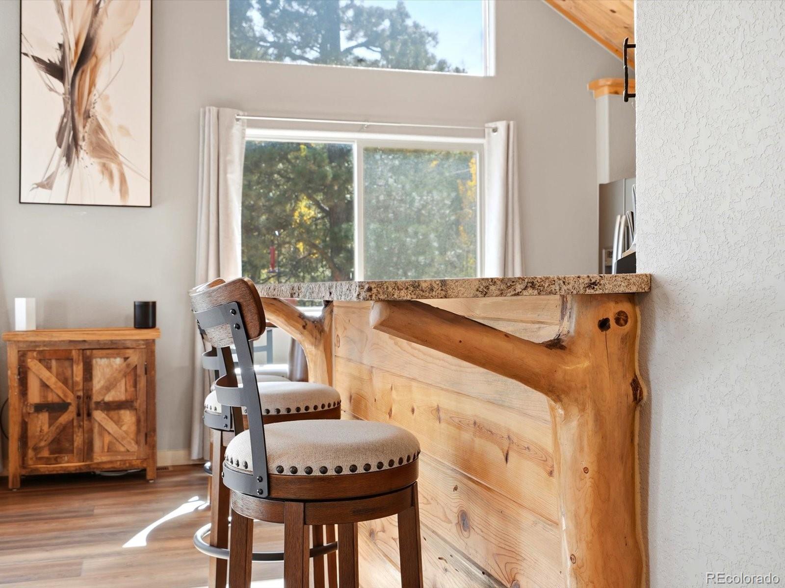 MLS Image #15 for 1592 s pine drive,bailey, Colorado