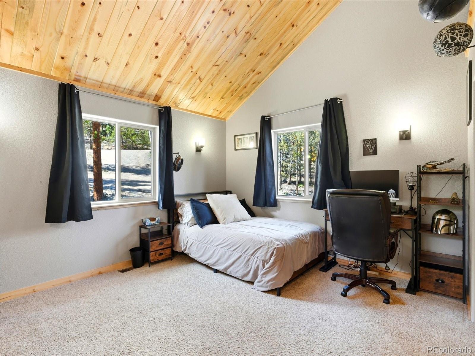MLS Image #16 for 1592 s pine drive,bailey, Colorado