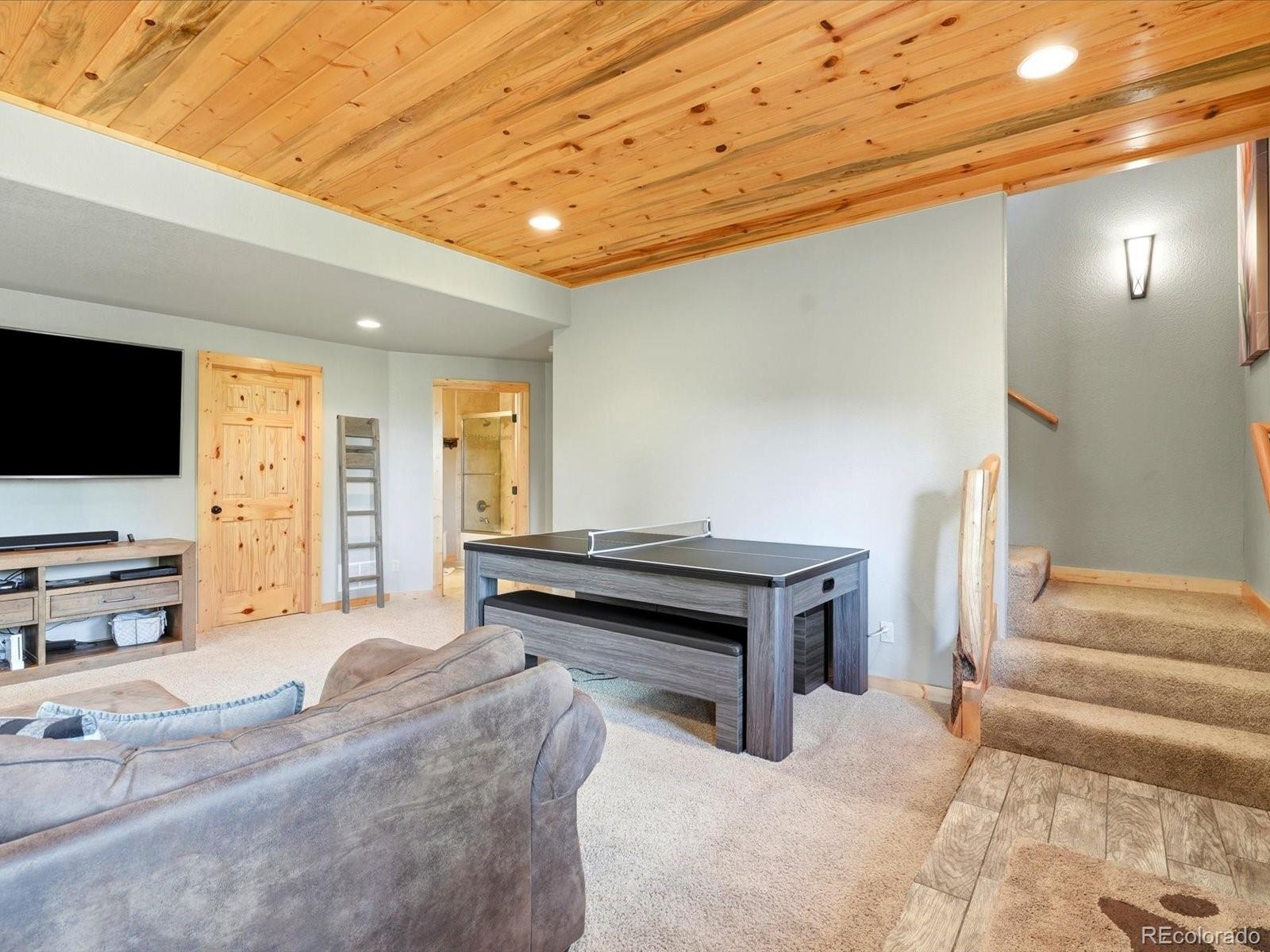 MLS Image #19 for 1592 s pine drive,bailey, Colorado