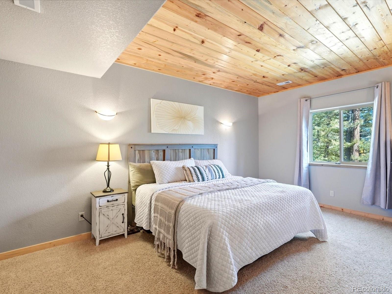 MLS Image #24 for 1592 s pine drive,bailey, Colorado