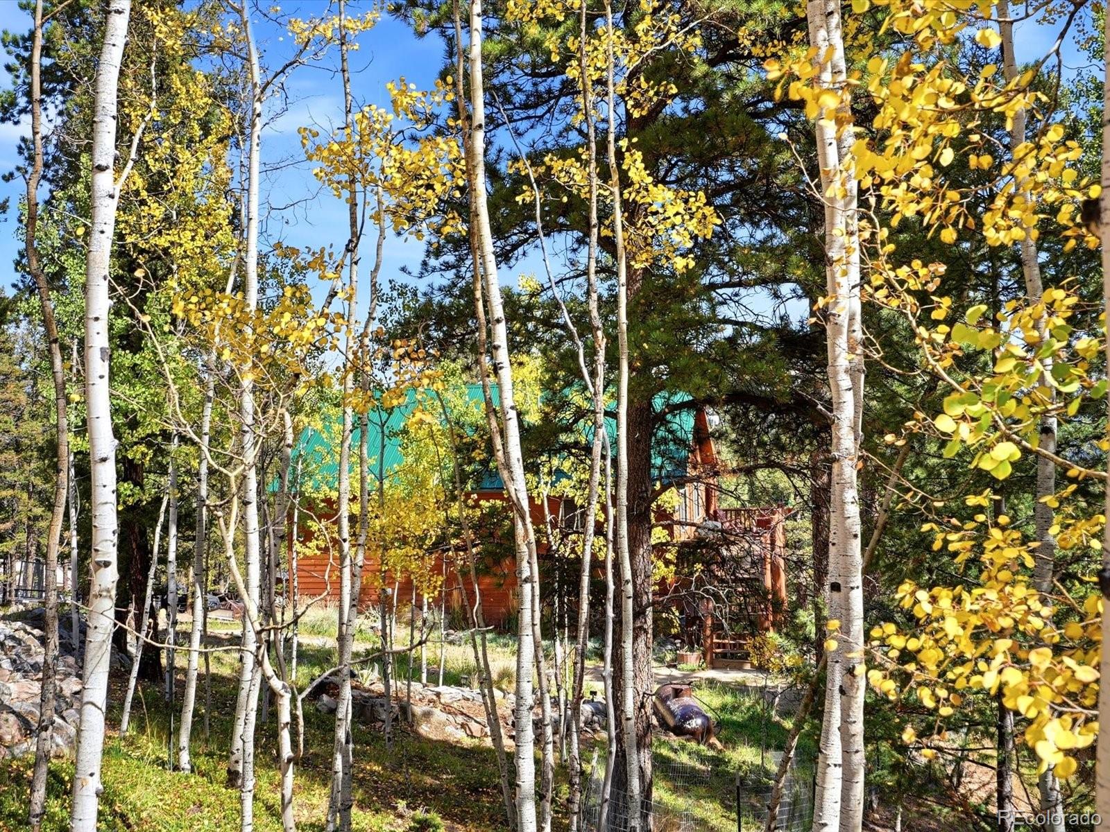 MLS Image #38 for 1592 s pine drive,bailey, Colorado