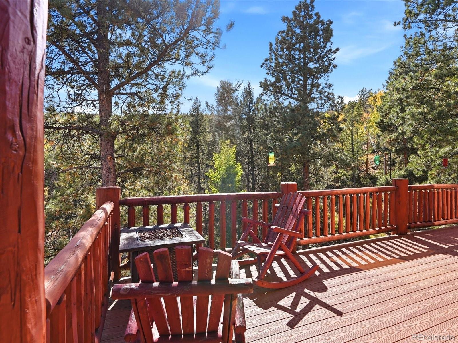 MLS Image #5 for 1592 s pine drive,bailey, Colorado