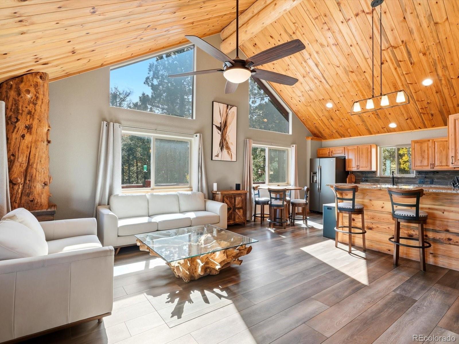 MLS Image #6 for 1592 s pine drive,bailey, Colorado
