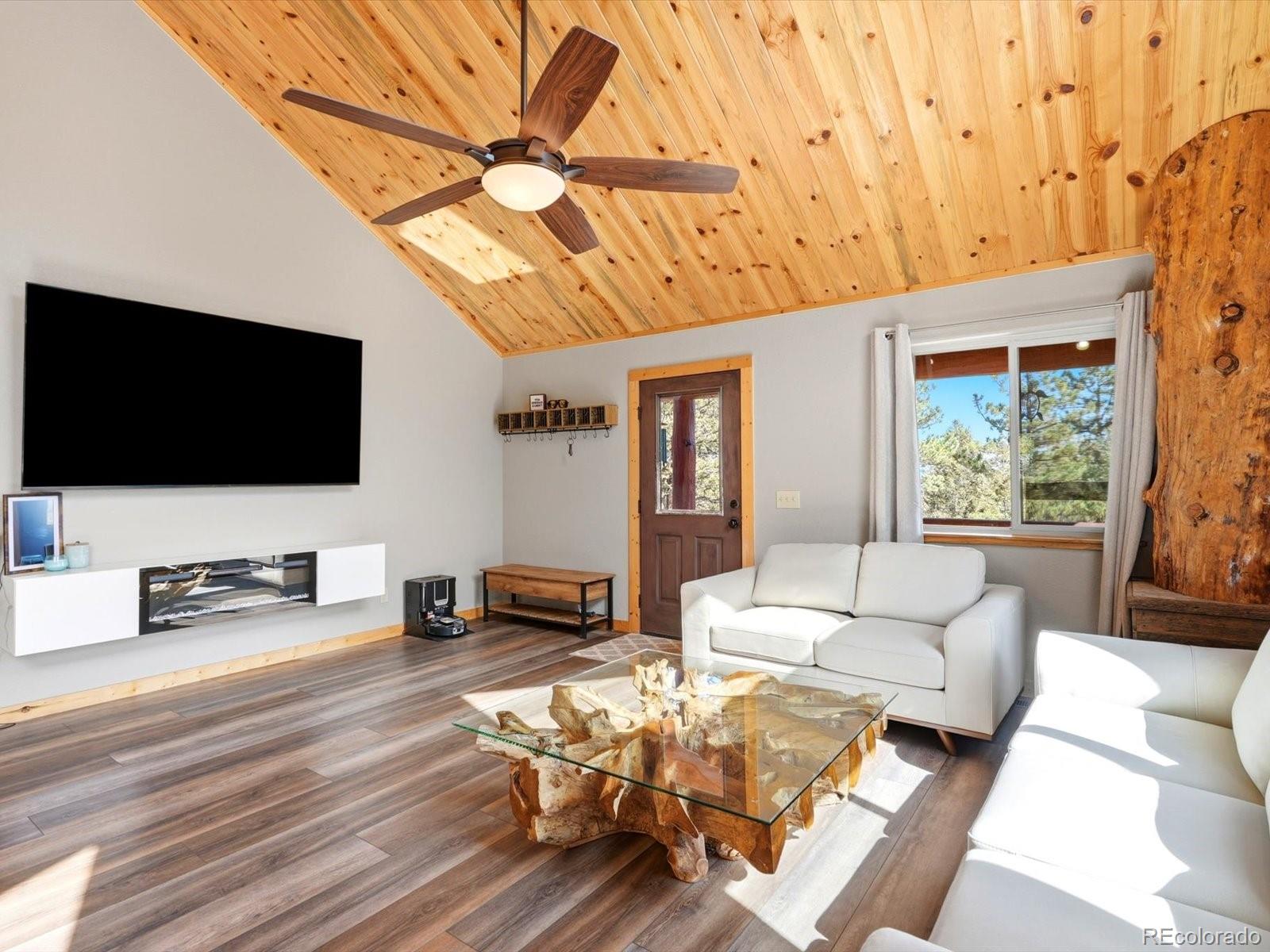 MLS Image #7 for 1592 s pine drive,bailey, Colorado