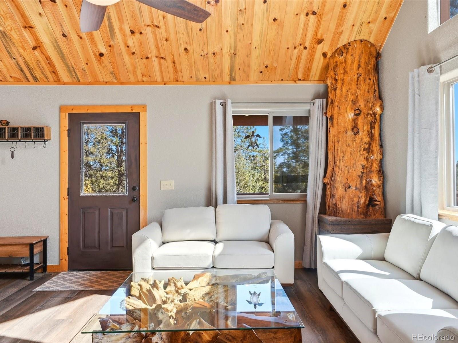 MLS Image #8 for 1592 s pine drive,bailey, Colorado