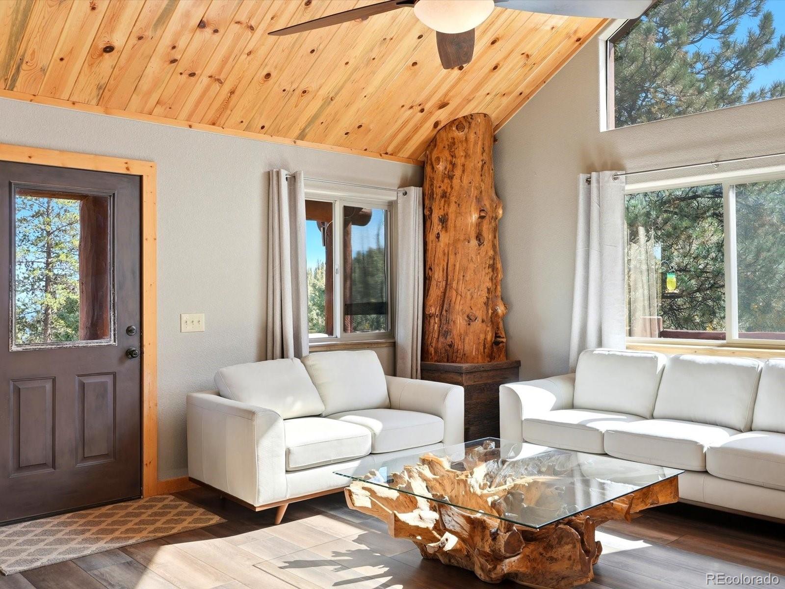 MLS Image #9 for 1592 s pine drive,bailey, Colorado