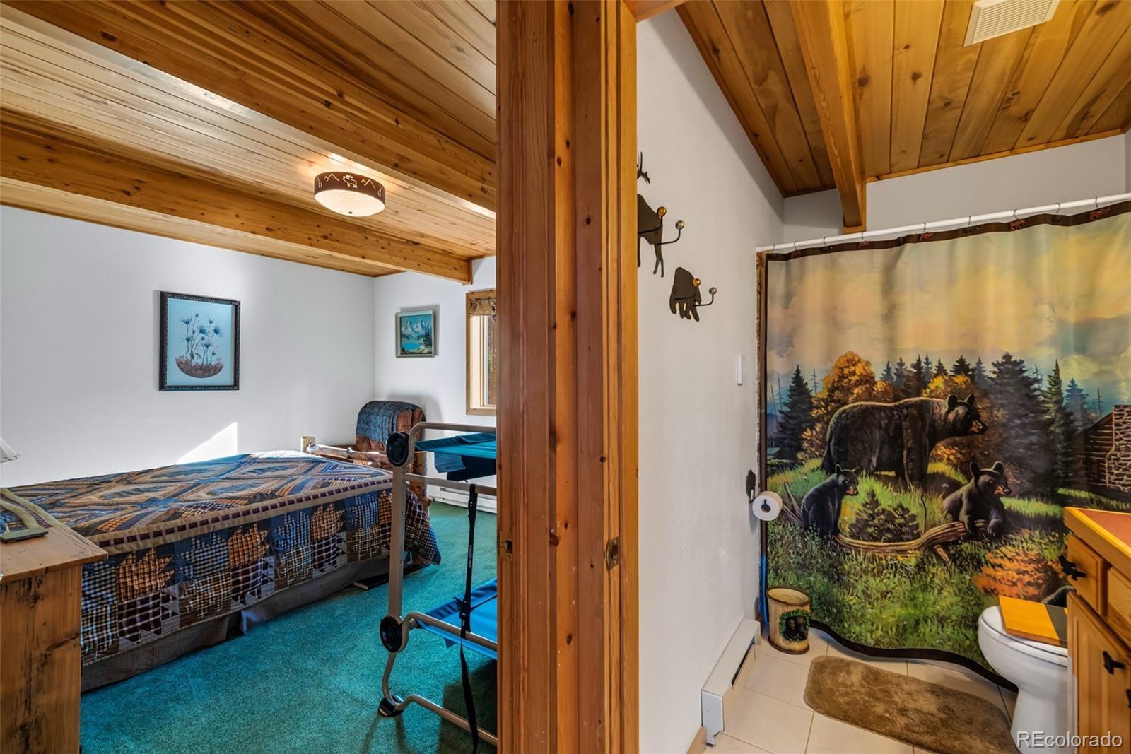 MLS Image #13 for 913  longbow drive,como, Colorado