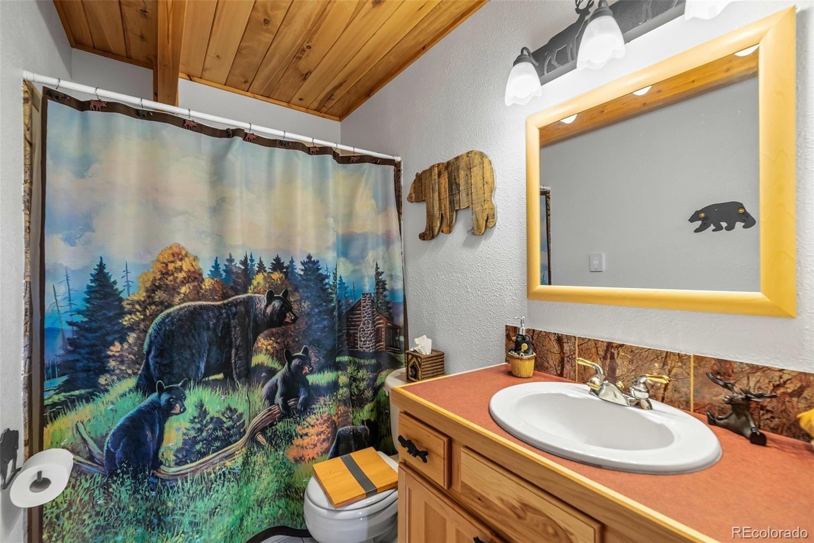 MLS Image #14 for 913  longbow drive,como, Colorado