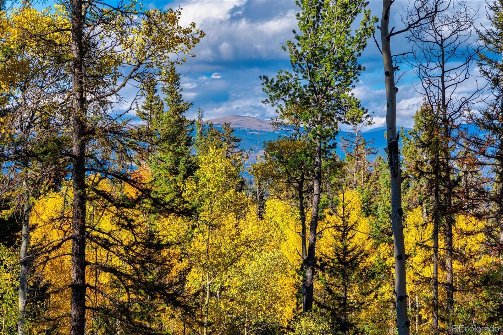 MLS Image #42 for 913  longbow drive,como, Colorado