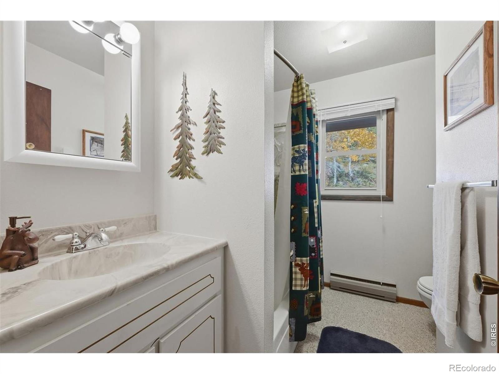 MLS Image #15 for 660  jicarilla trail,red feather lakes, Colorado