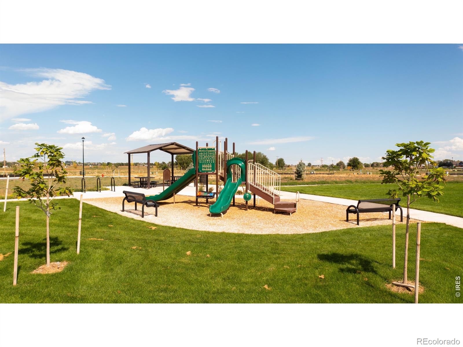 MLS Image #25 for 671  noola street,windsor, Colorado