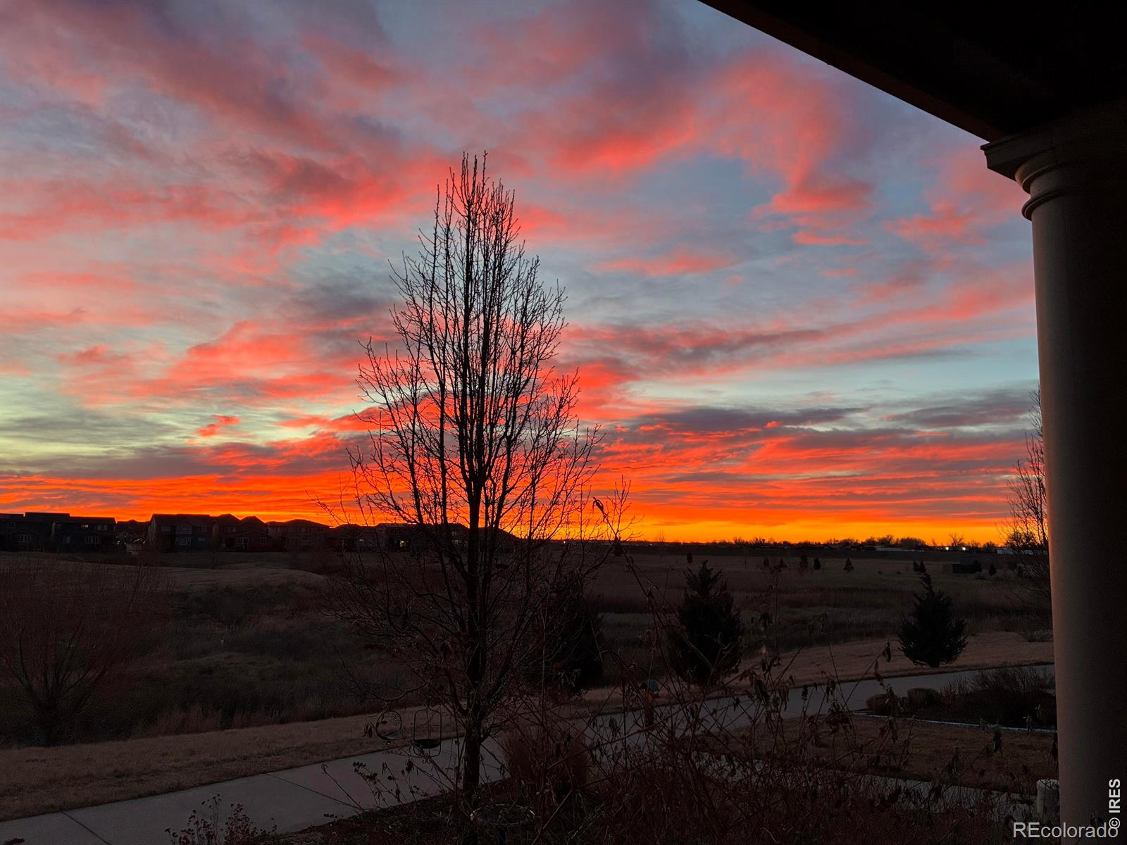 MLS Image #30 for 338  tigercat way,fort collins, Colorado