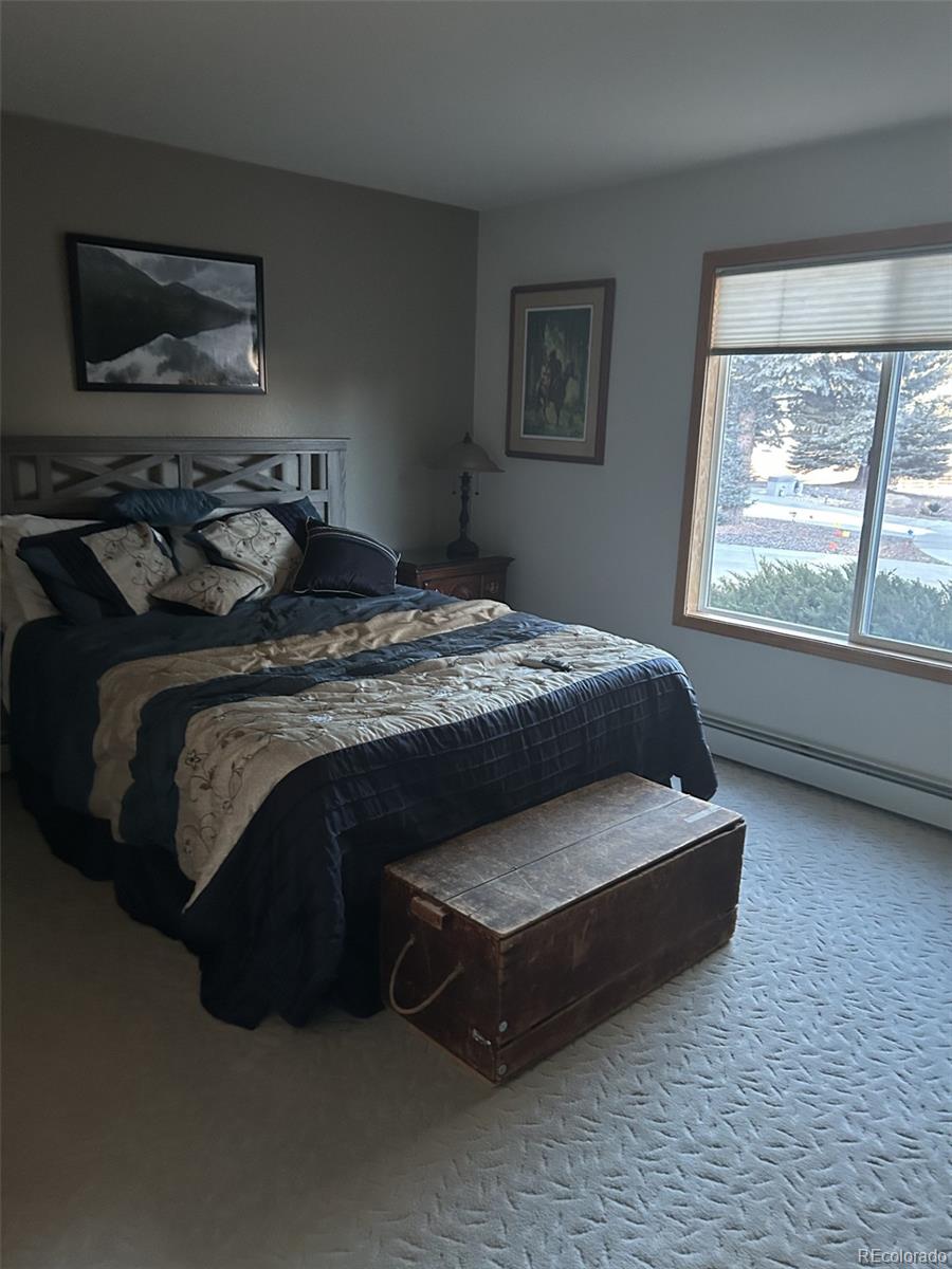MLS Image #10 for 171  las lunas street,castle rock, Colorado