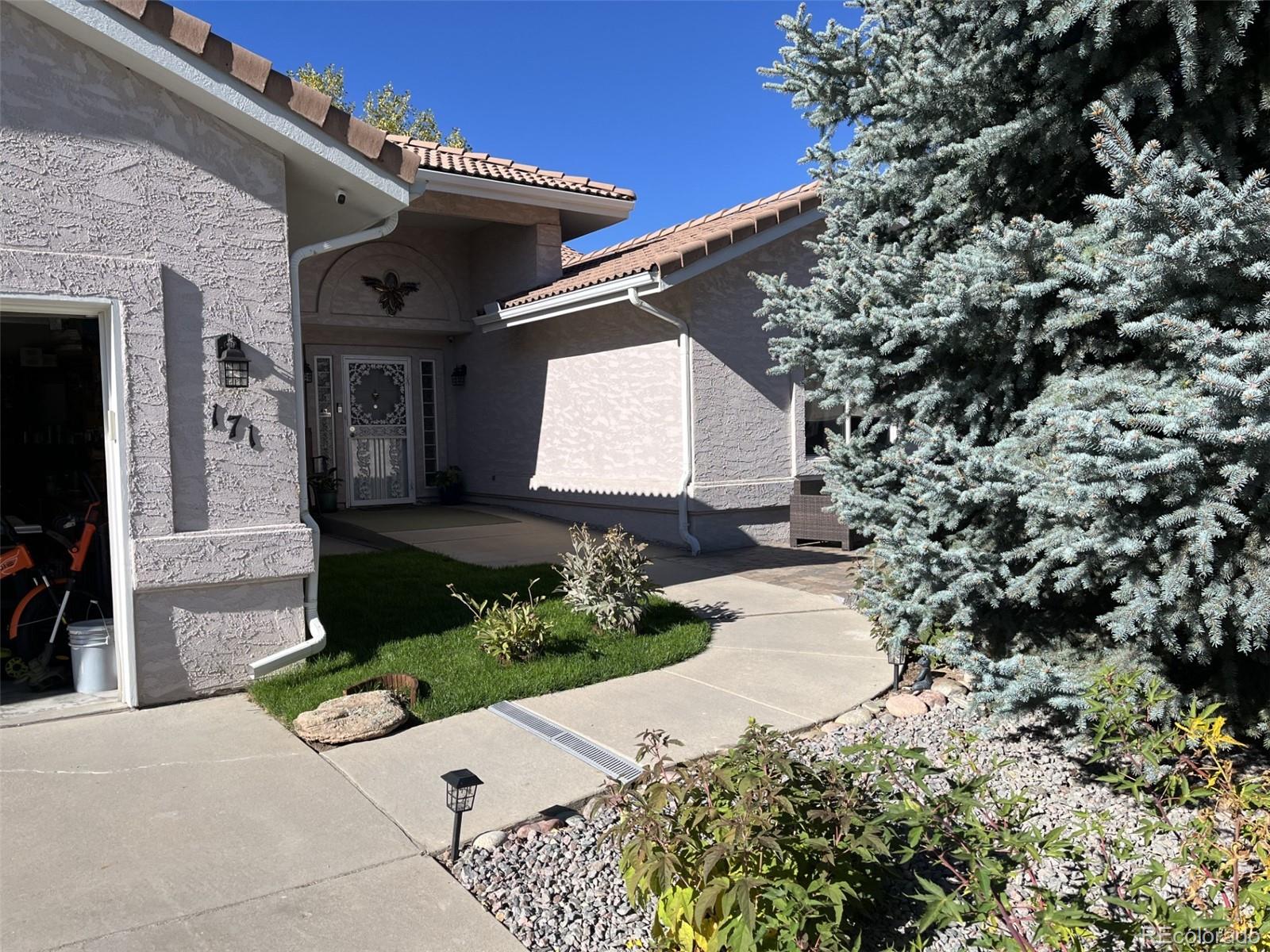 MLS Image #11 for 171  las lunas street,castle rock, Colorado