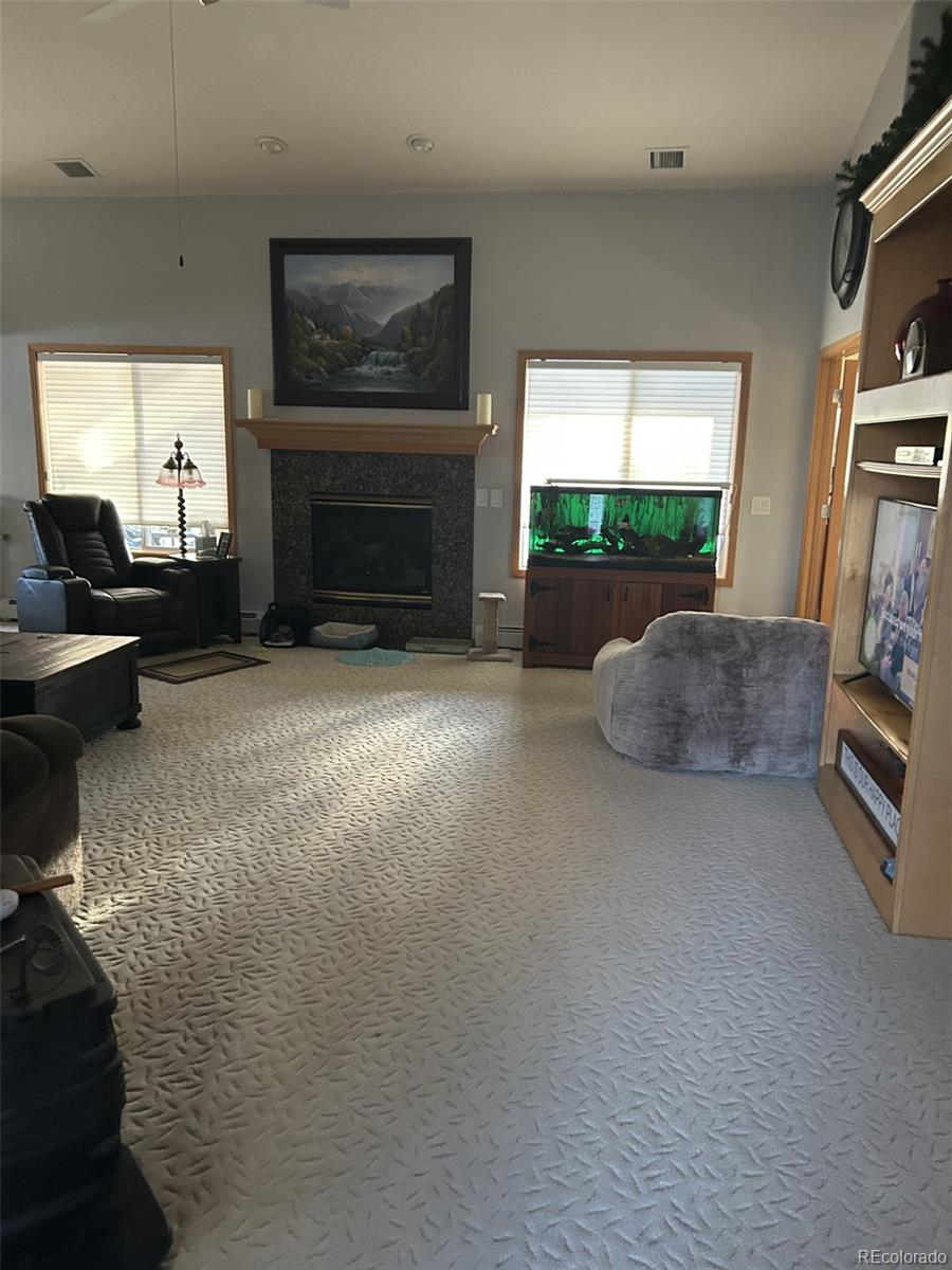 MLS Image #2 for 171  las lunas street,castle rock, Colorado