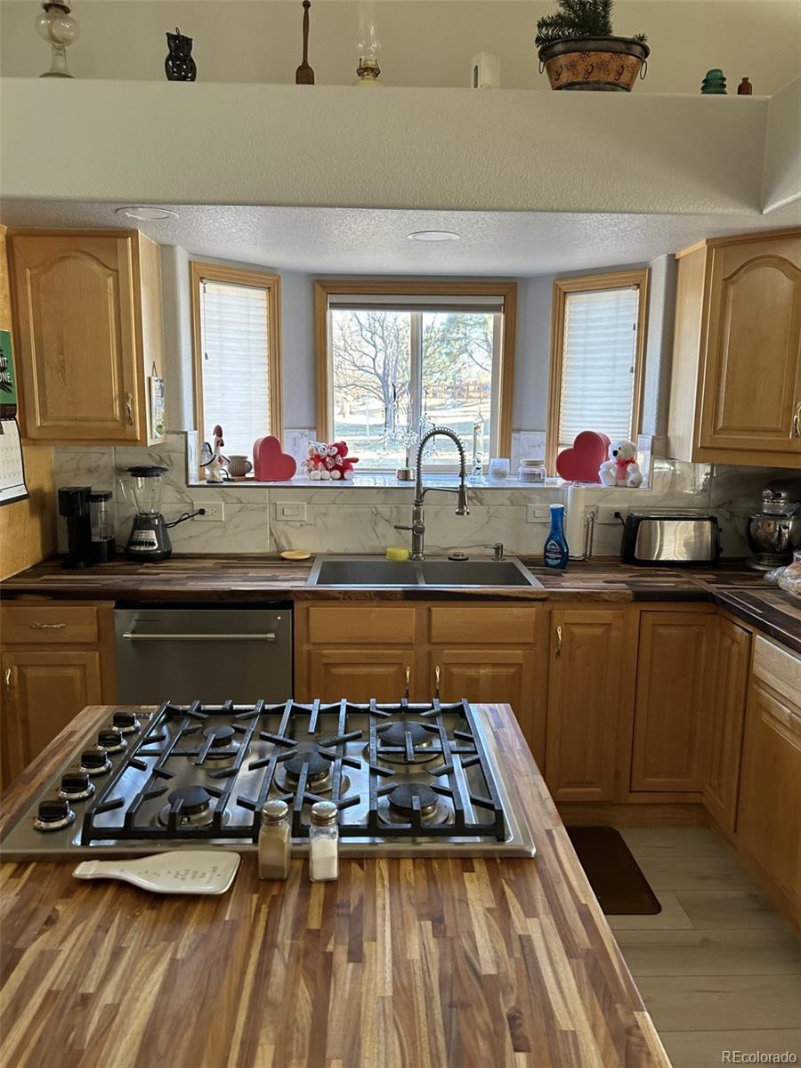 MLS Image #5 for 171  las lunas street,castle rock, Colorado