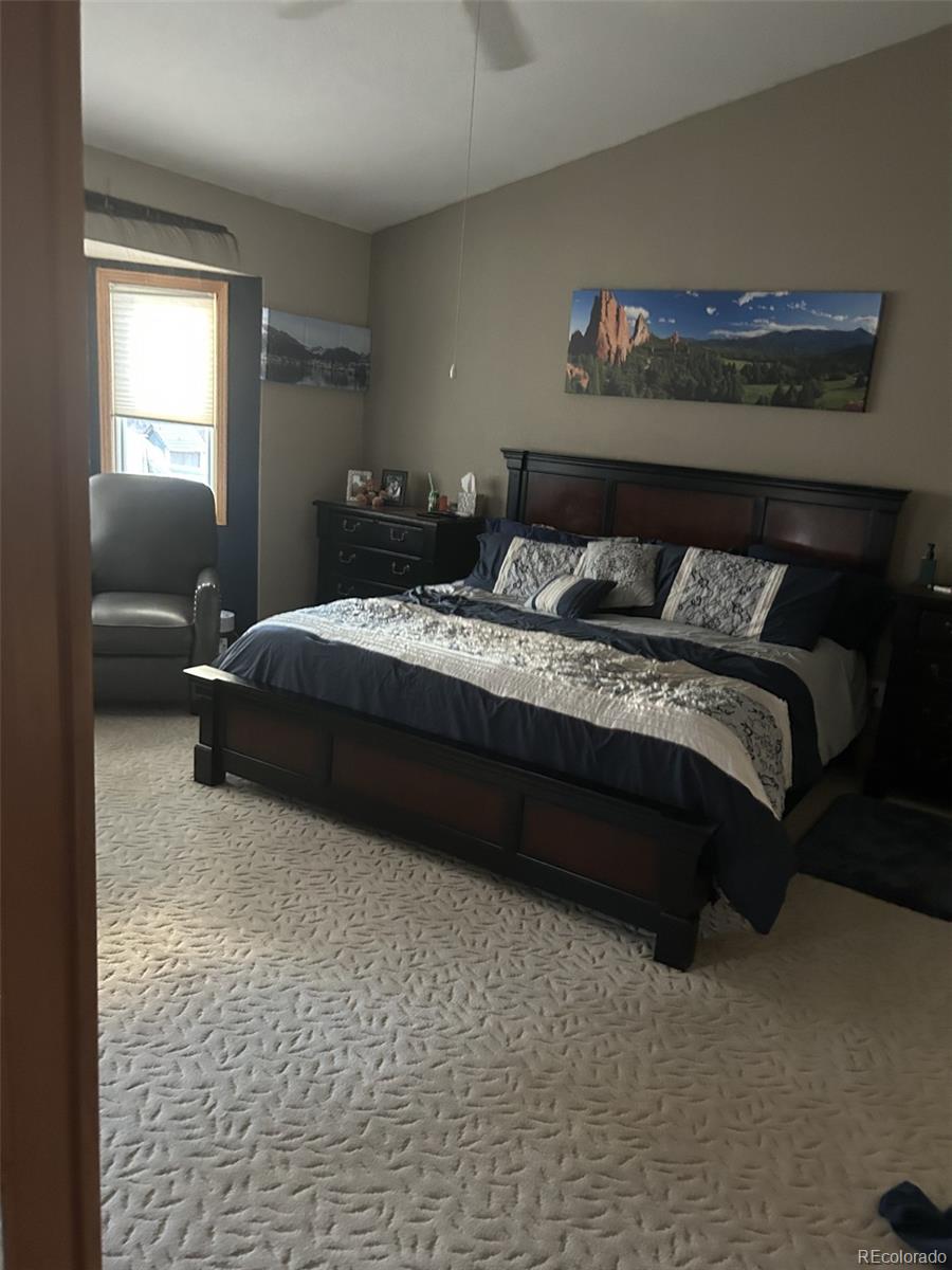 MLS Image #9 for 171  las lunas street,castle rock, Colorado