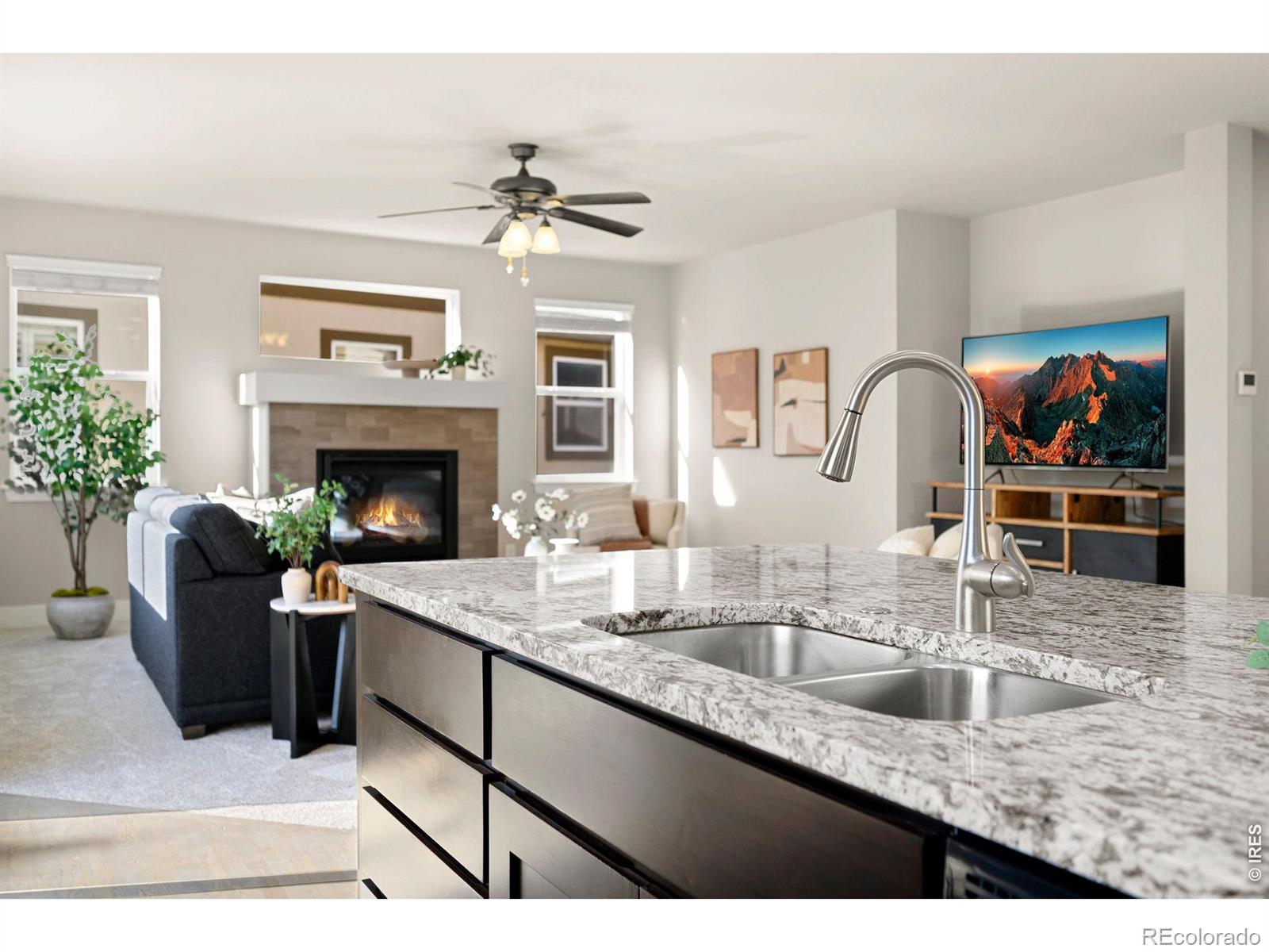 MLS Image #18 for 4010  via del oro drive,loveland, Colorado