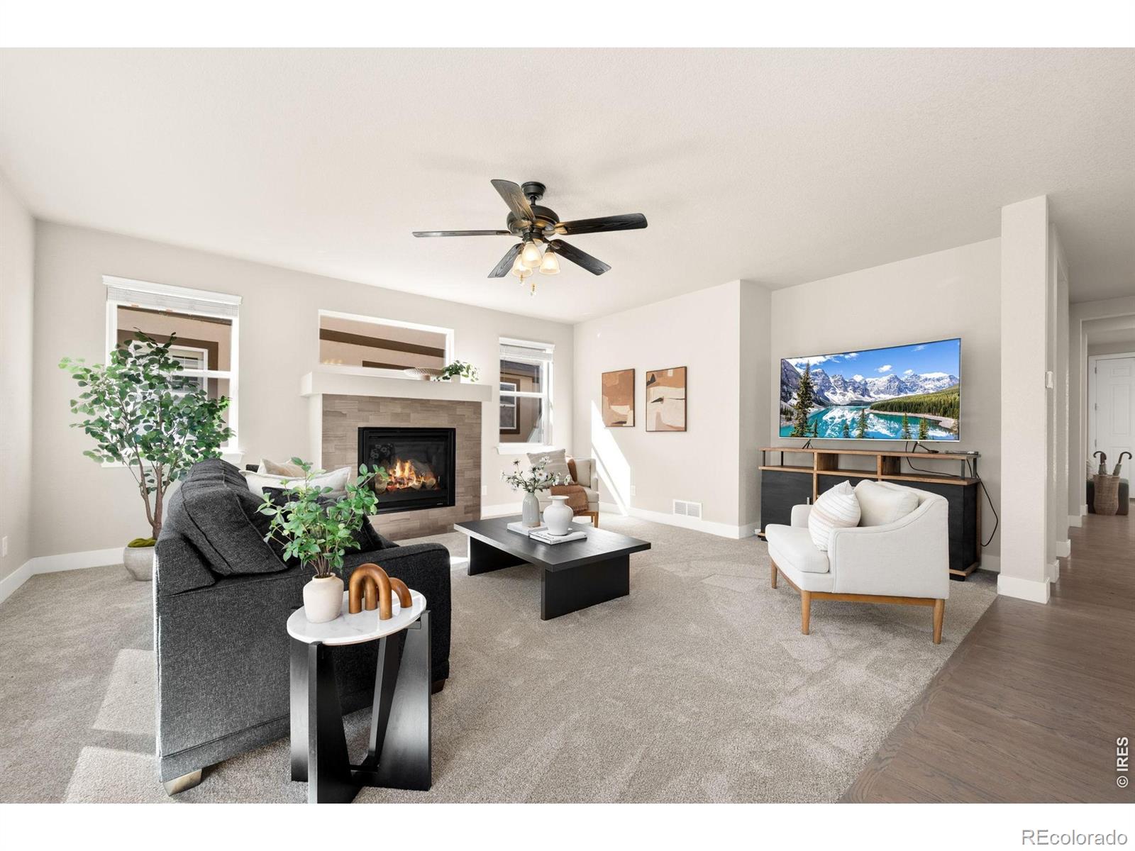 MLS Image #19 for 4010  via del oro drive,loveland, Colorado