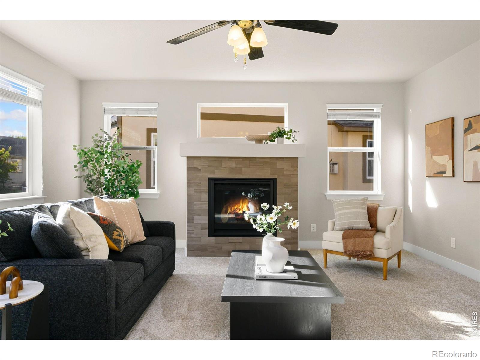 MLS Image #21 for 4010  via del oro drive,loveland, Colorado