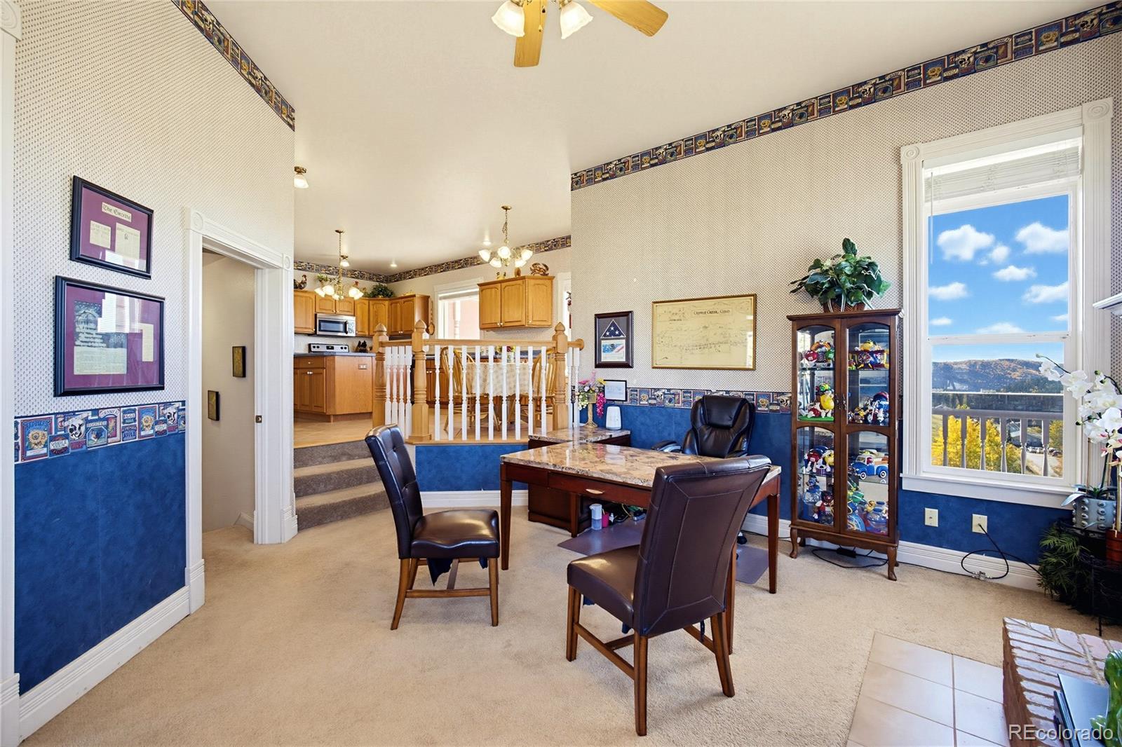 MLS Image #10 for 222 e placer street,cripple creek, Colorado