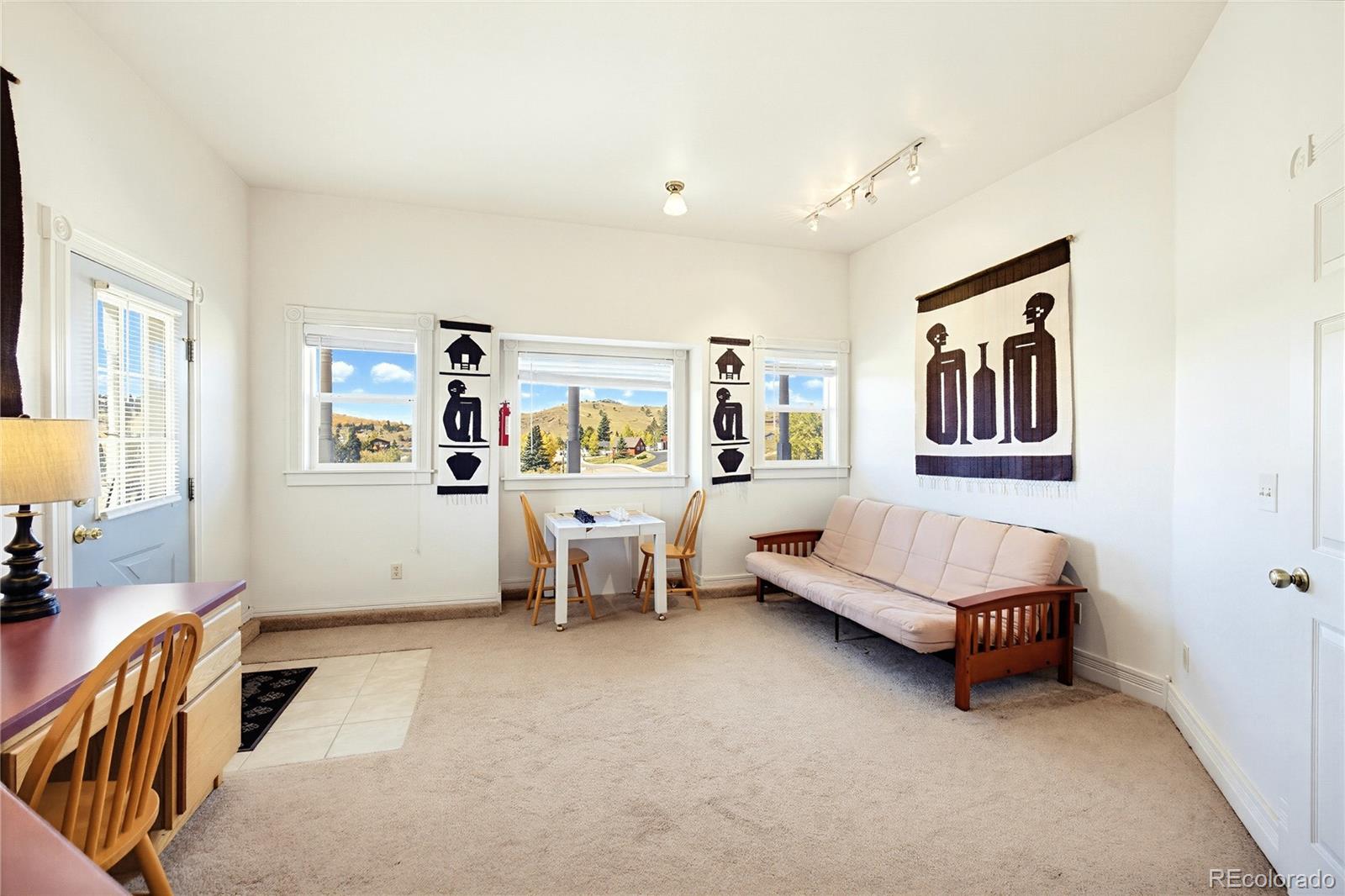 MLS Image #31 for 222 e placer street,cripple creek, Colorado