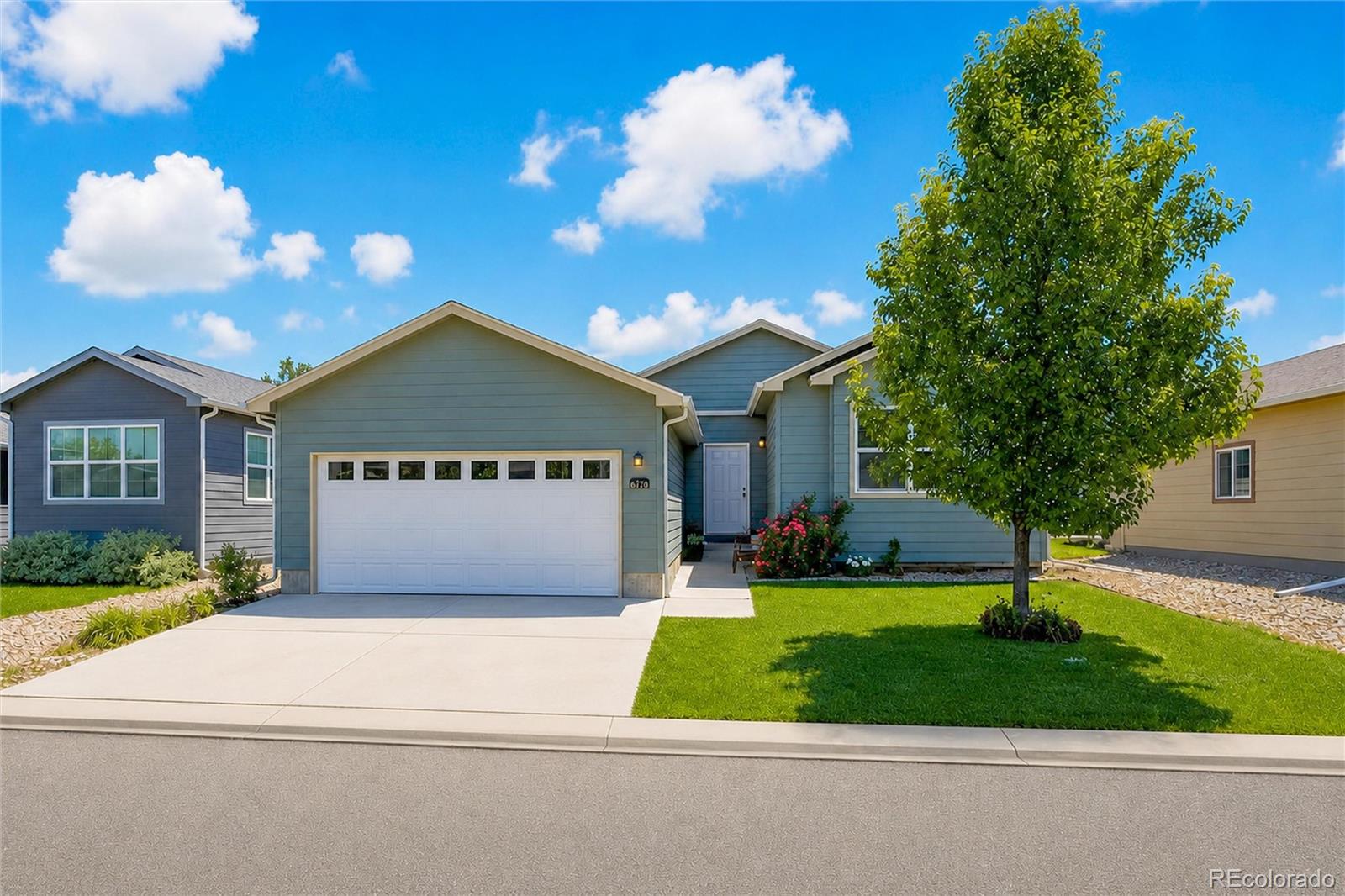MLS Image #0 for 6170  bluestem green,frederick, Colorado