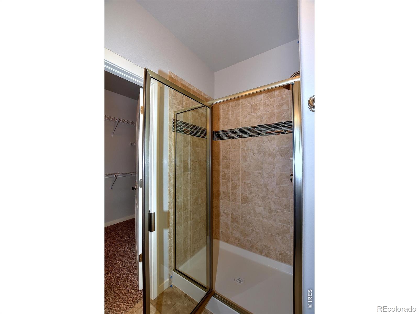 MLS Image #20 for 1157  bitterroot court,johnstown, Colorado