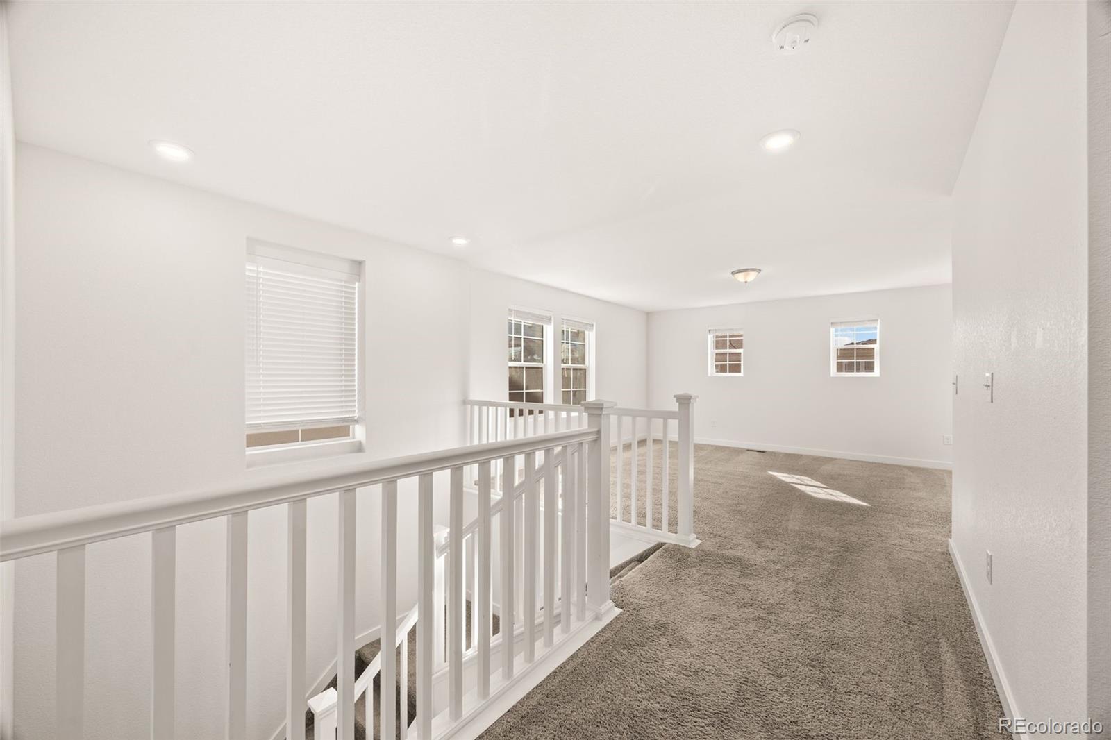 MLS Image #21 for 6325  stablecross trail,castle pines, Colorado