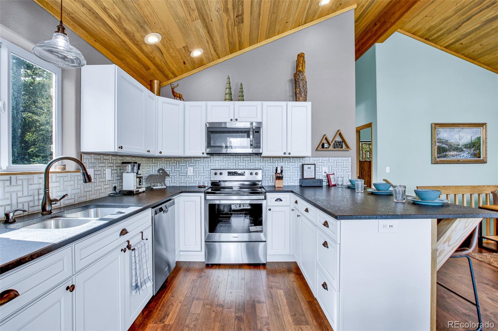 MLS Image #12 for 1647  bobcat lane,fairplay, Colorado