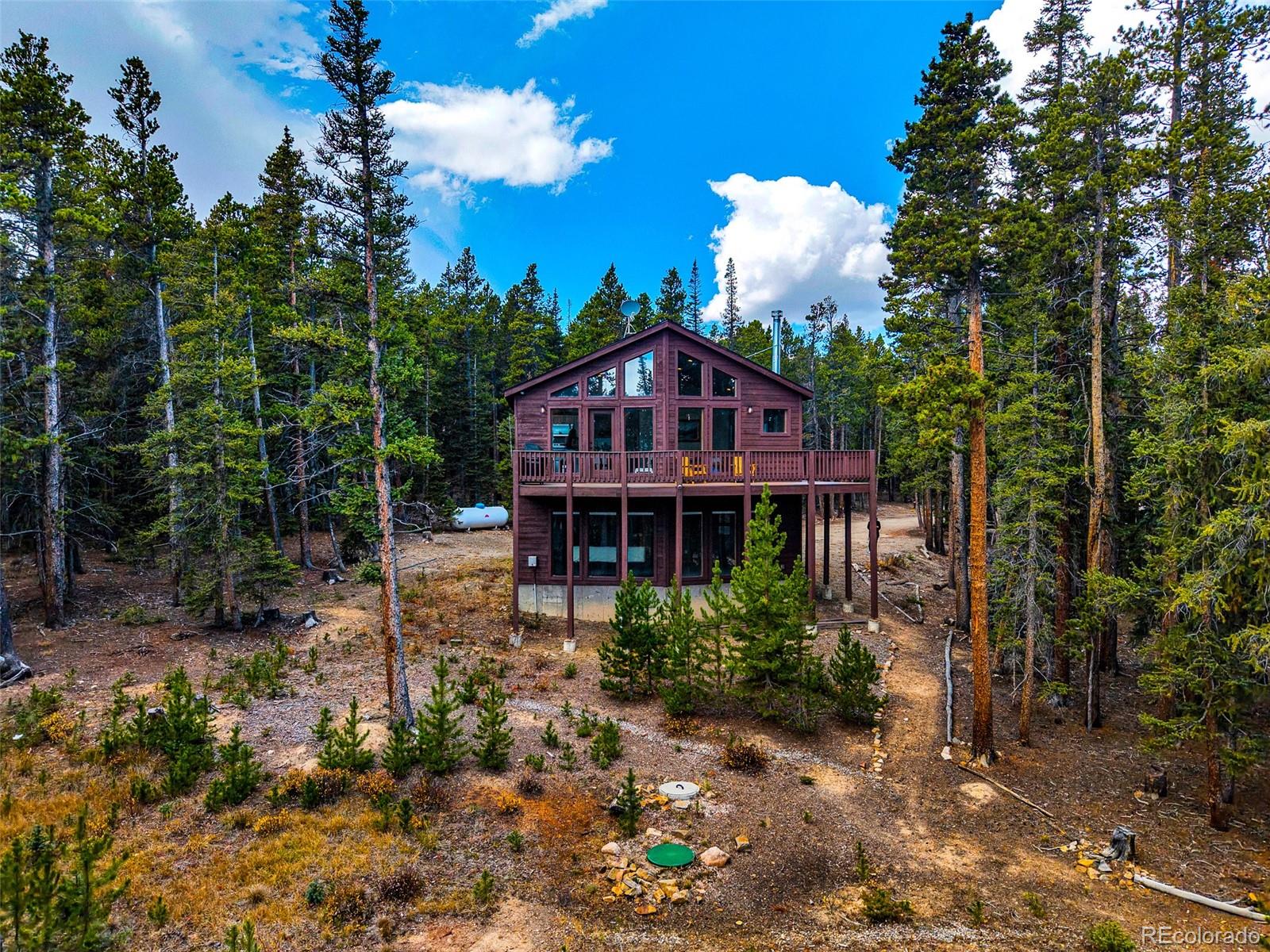 MLS Image #13 for 1647  bobcat lane,fairplay, Colorado
