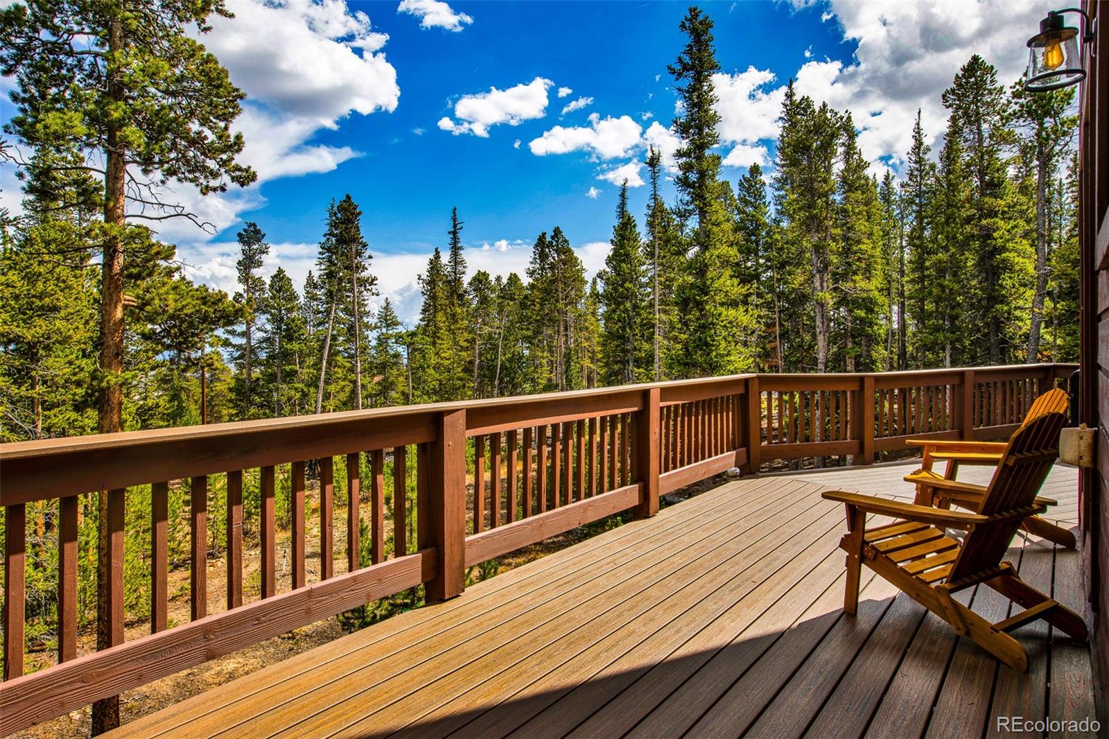 MLS Image #15 for 1647  bobcat lane,fairplay, Colorado