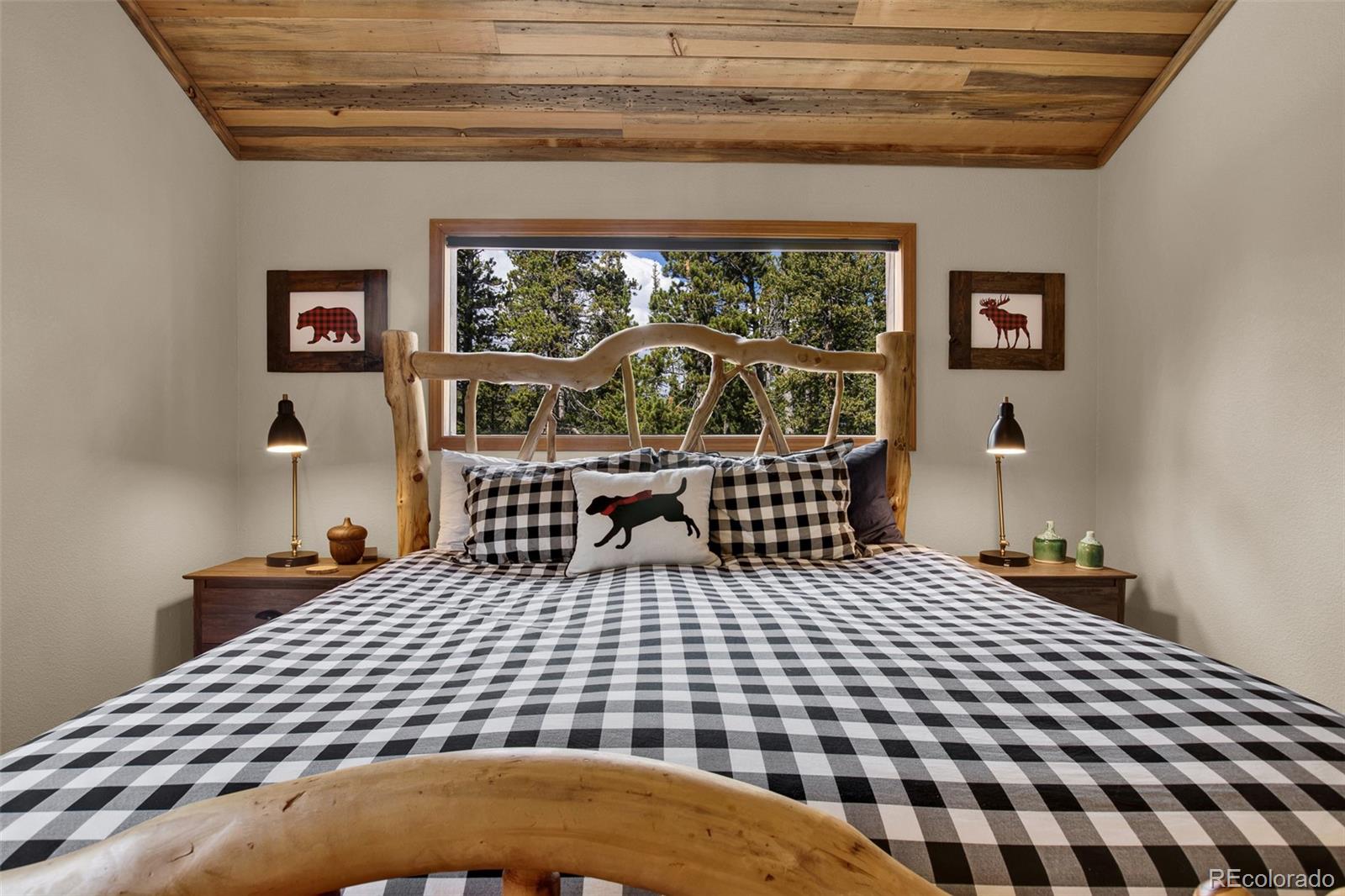 MLS Image #19 for 1647  bobcat lane,fairplay, Colorado