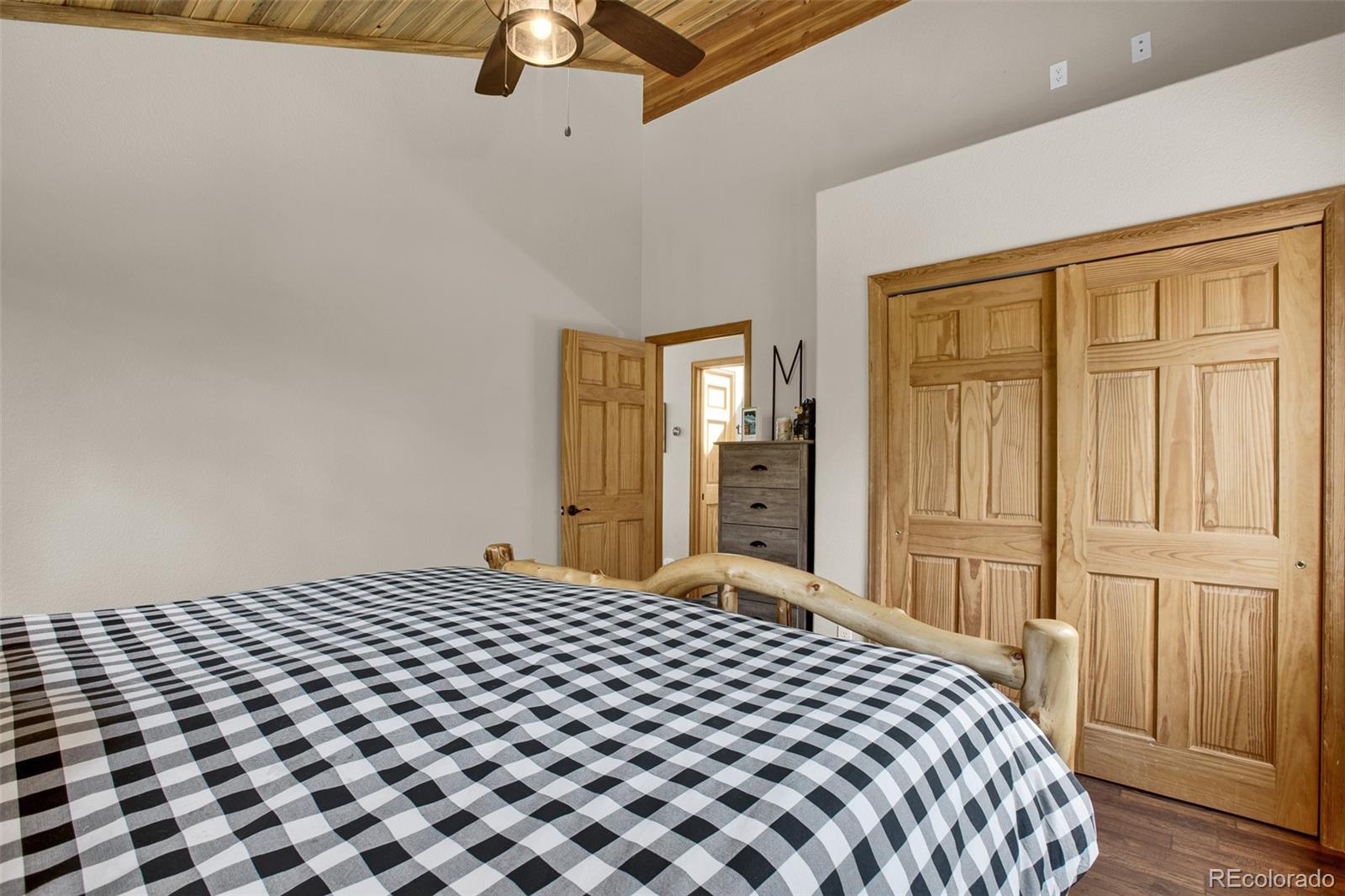 MLS Image #20 for 1647  bobcat lane,fairplay, Colorado