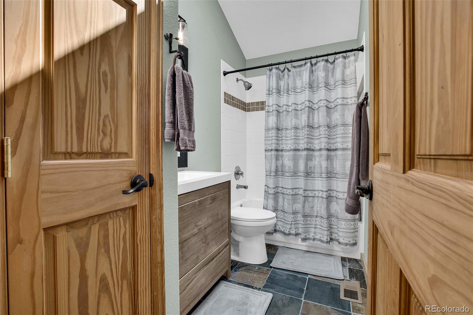 MLS Image #21 for 1647  bobcat lane,fairplay, Colorado
