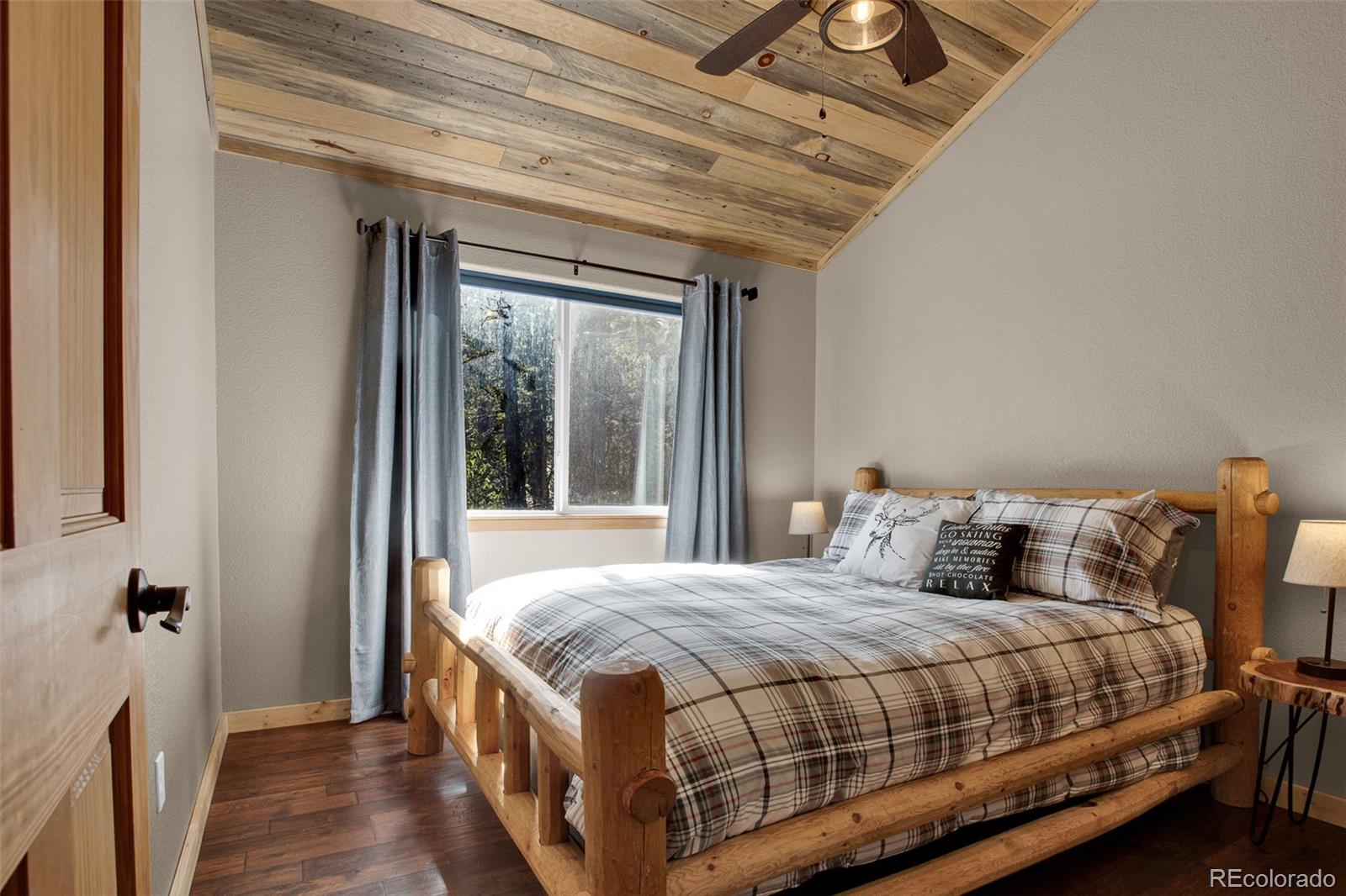 MLS Image #23 for 1647  bobcat lane,fairplay, Colorado
