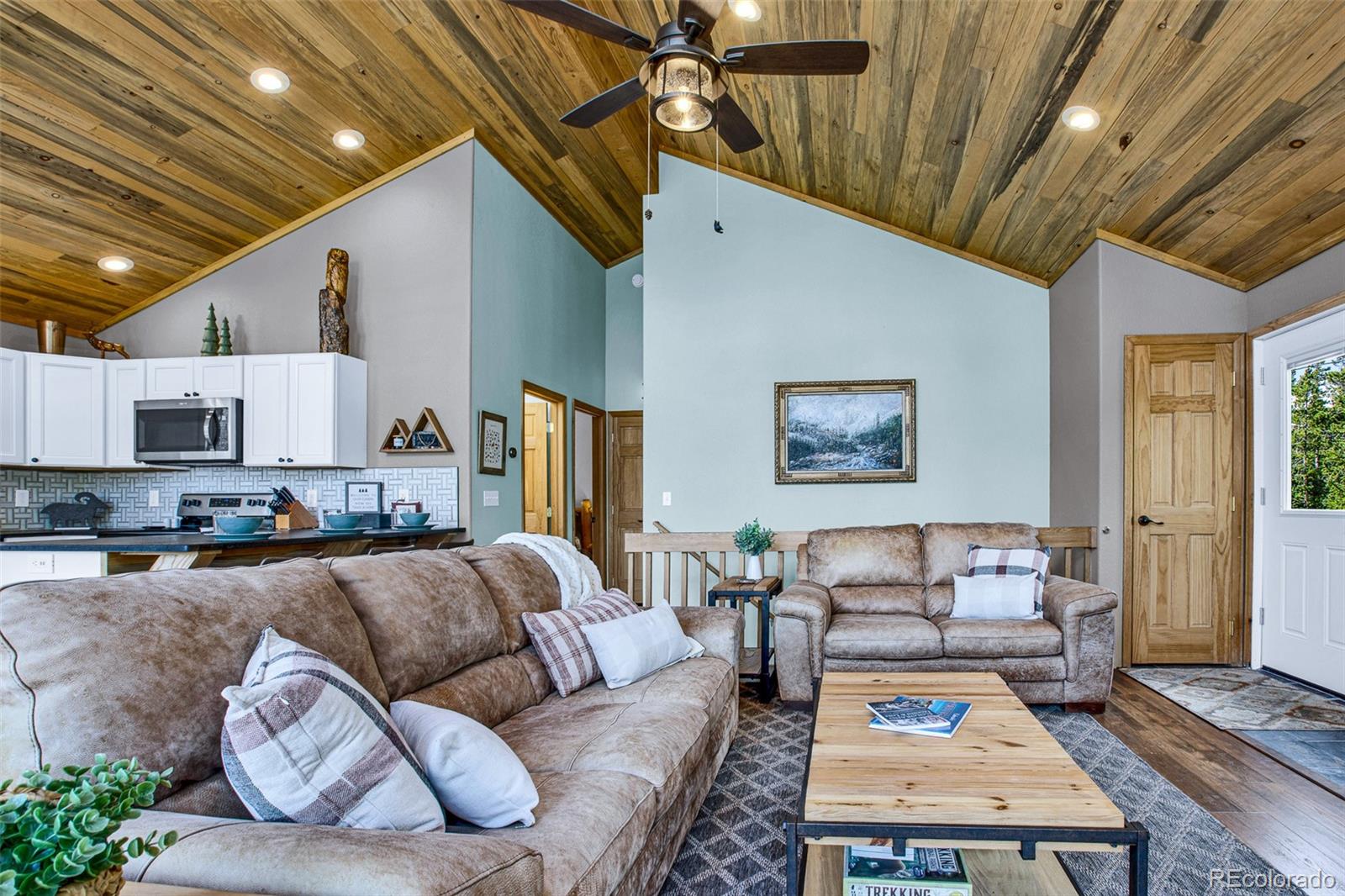 MLS Image #26 for 1647  bobcat lane,fairplay, Colorado