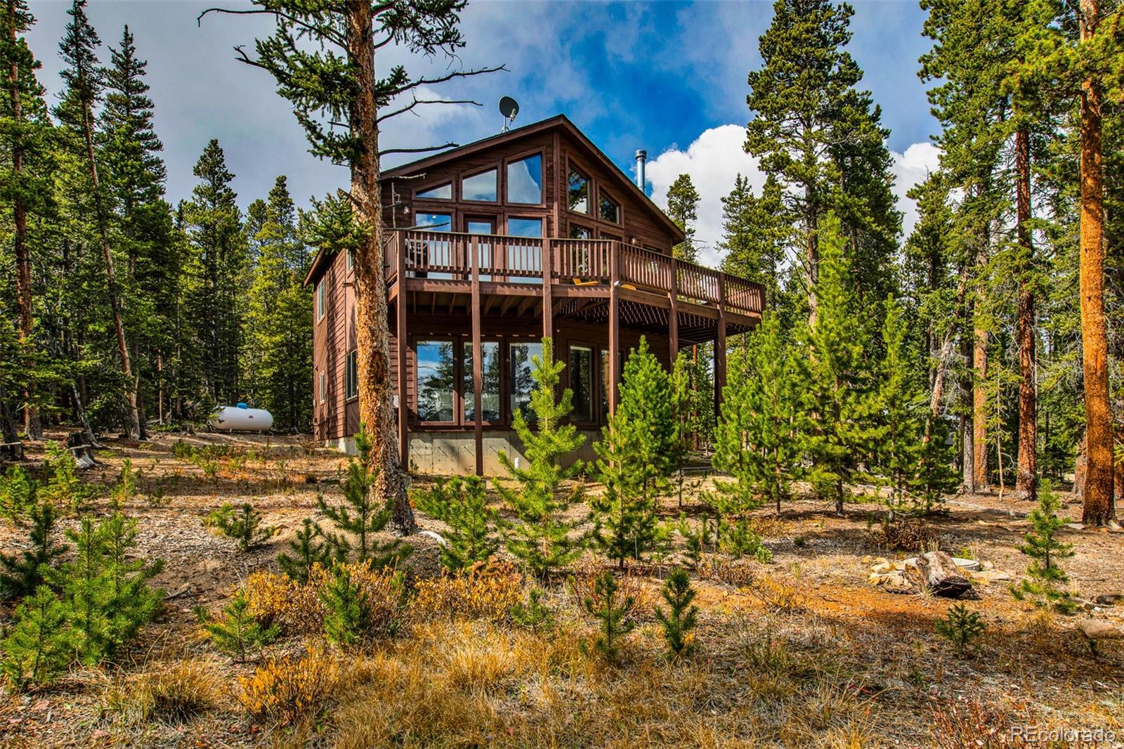 MLS Image #28 for 1647  bobcat lane,fairplay, Colorado