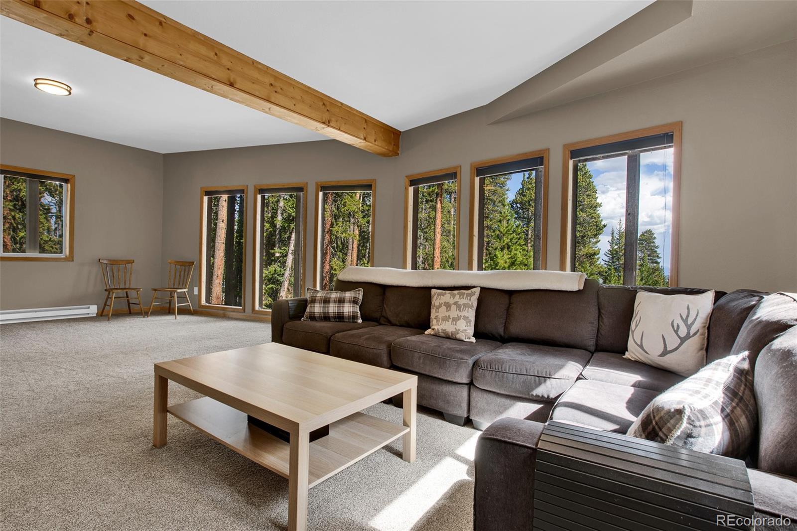 MLS Image #33 for 1647  bobcat lane,fairplay, Colorado