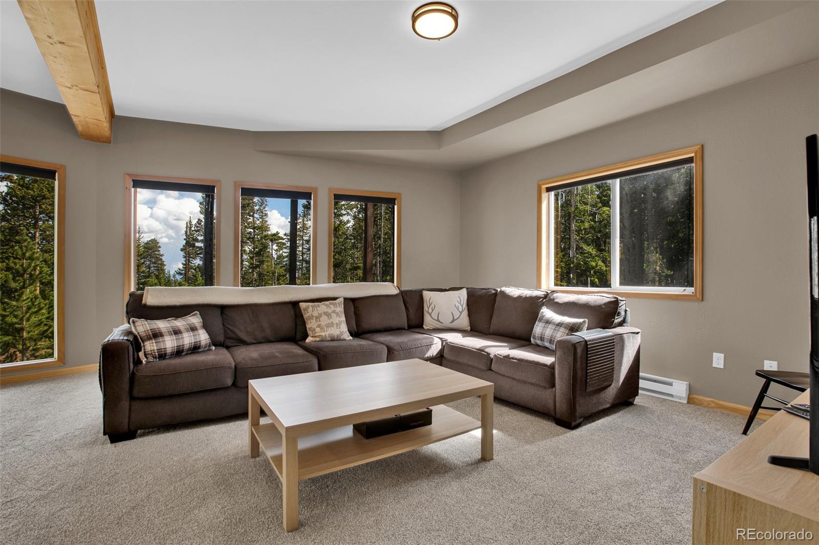 MLS Image #34 for 1647  bobcat lane,fairplay, Colorado