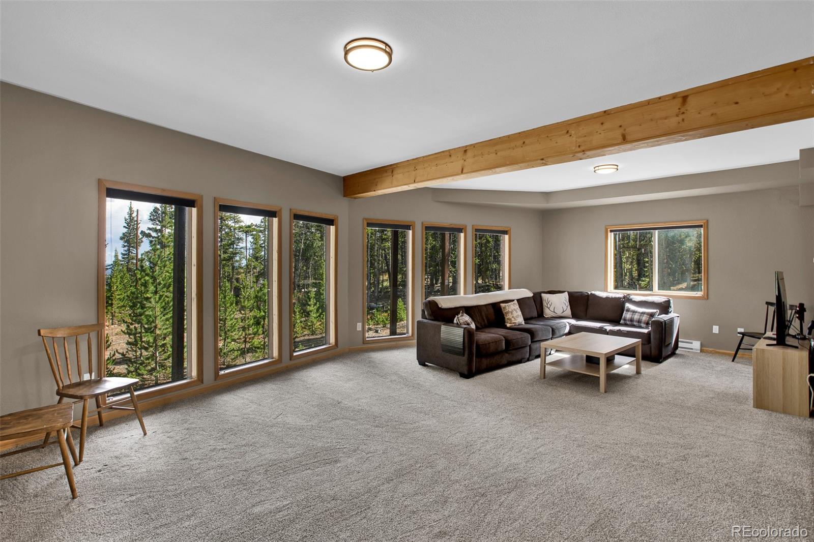 MLS Image #35 for 1647  bobcat lane,fairplay, Colorado