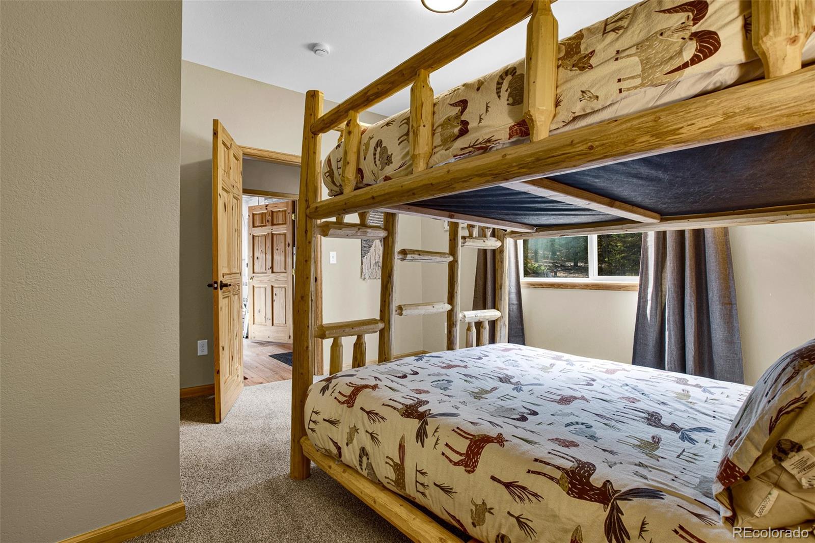 MLS Image #38 for 1647  bobcat lane,fairplay, Colorado