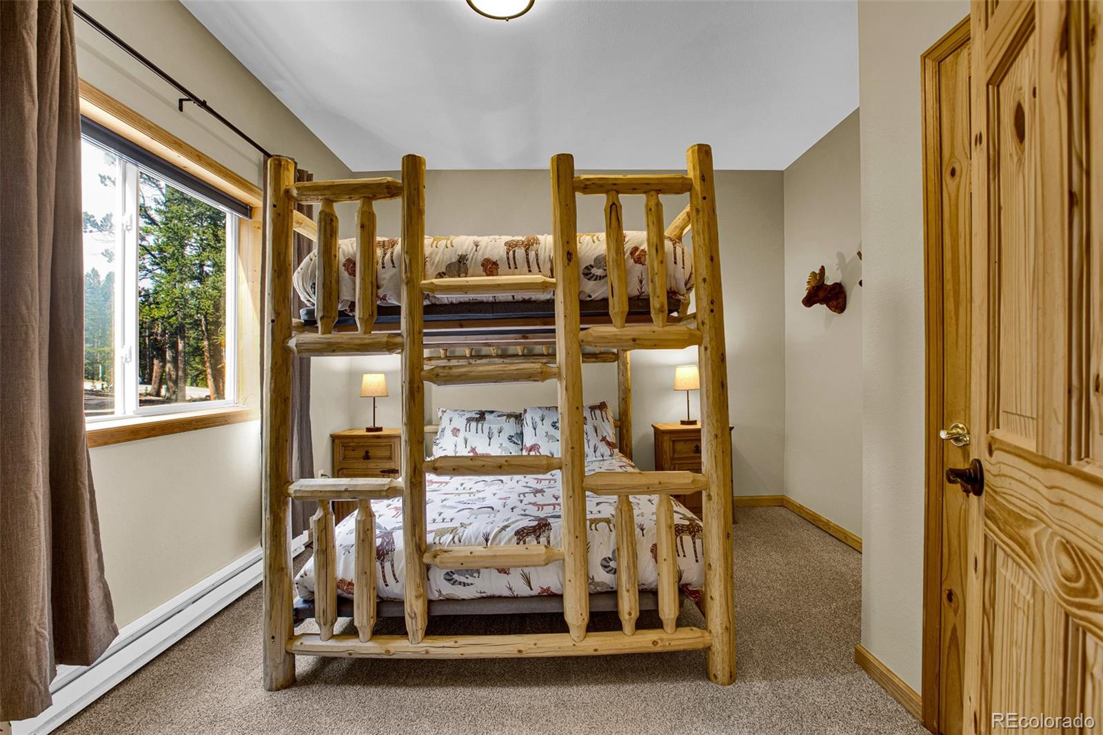 MLS Image #39 for 1647  bobcat lane,fairplay, Colorado