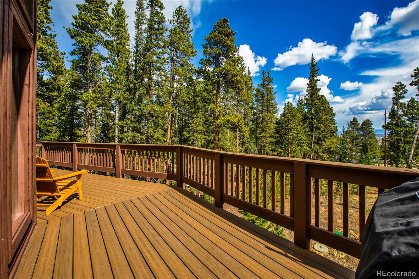 MLS Image #40 for 1647  bobcat lane,fairplay, Colorado