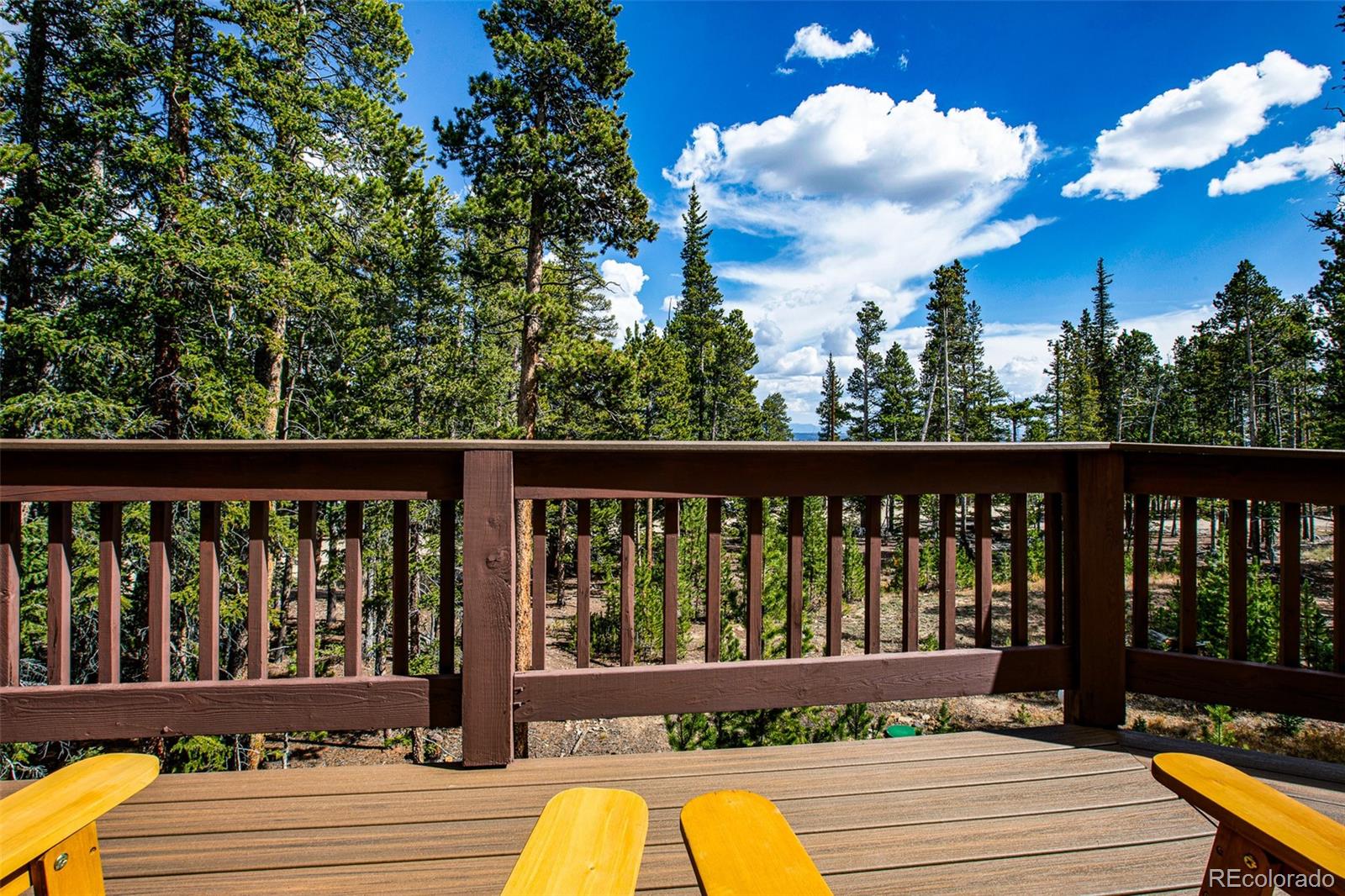 MLS Image #41 for 1647  bobcat lane,fairplay, Colorado