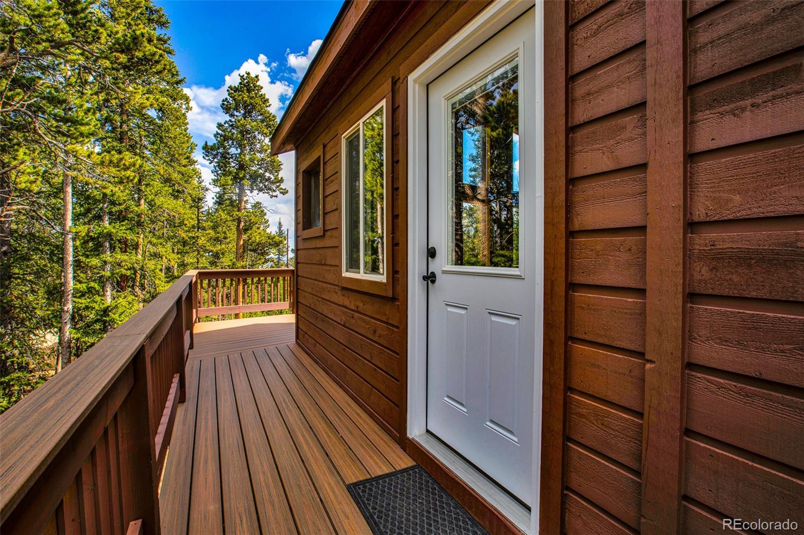 MLS Image #49 for 1647  bobcat lane,fairplay, Colorado