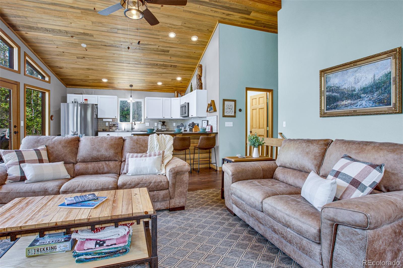 MLS Image #5 for 1647  bobcat lane,fairplay, Colorado