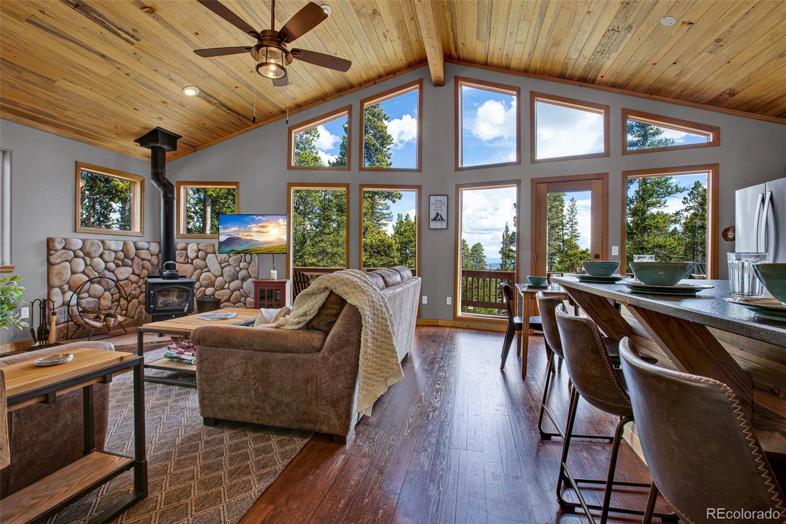MLS Image #6 for 1647  bobcat lane,fairplay, Colorado